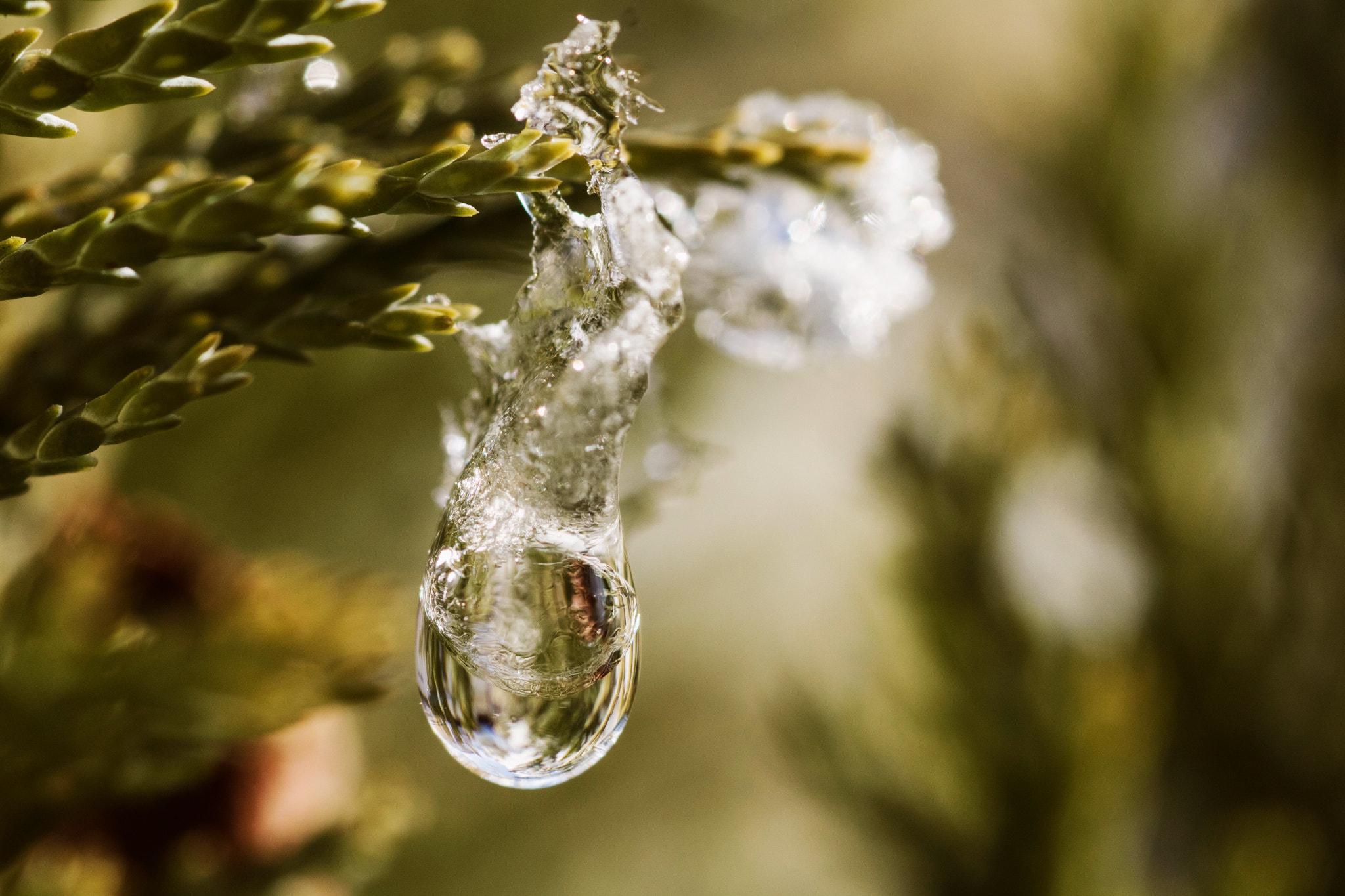 Canon EOS 750D (EOS Rebel T6i / EOS Kiss X8i) + Sigma 105mm F2.8 EX DG Macro sample photo. Half-frozen waterdrop photography