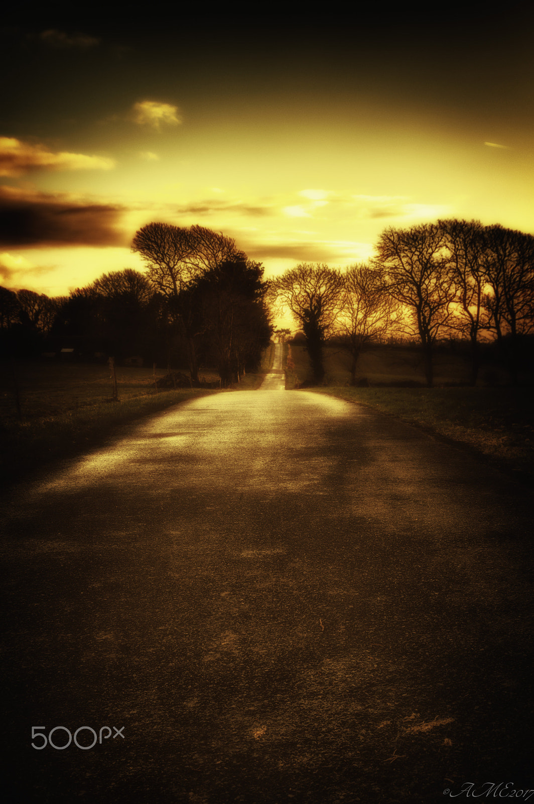 Pentax K-3 II sample photo. Long is the road photography