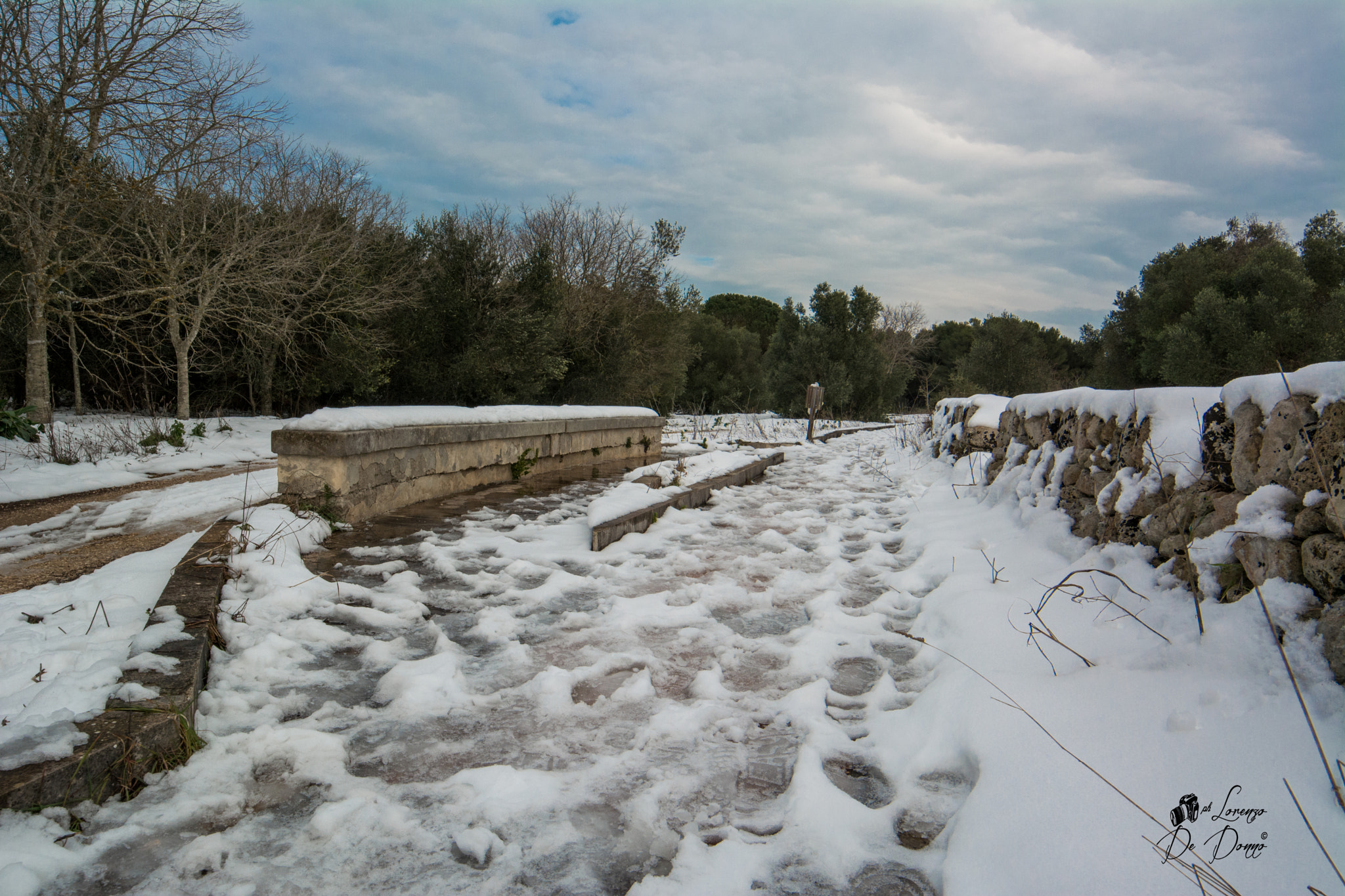Samyang 14mm F2.8 ED AS IF UMC sample photo. Si amarono l'un l'altro sospesi su un filo di neve photography