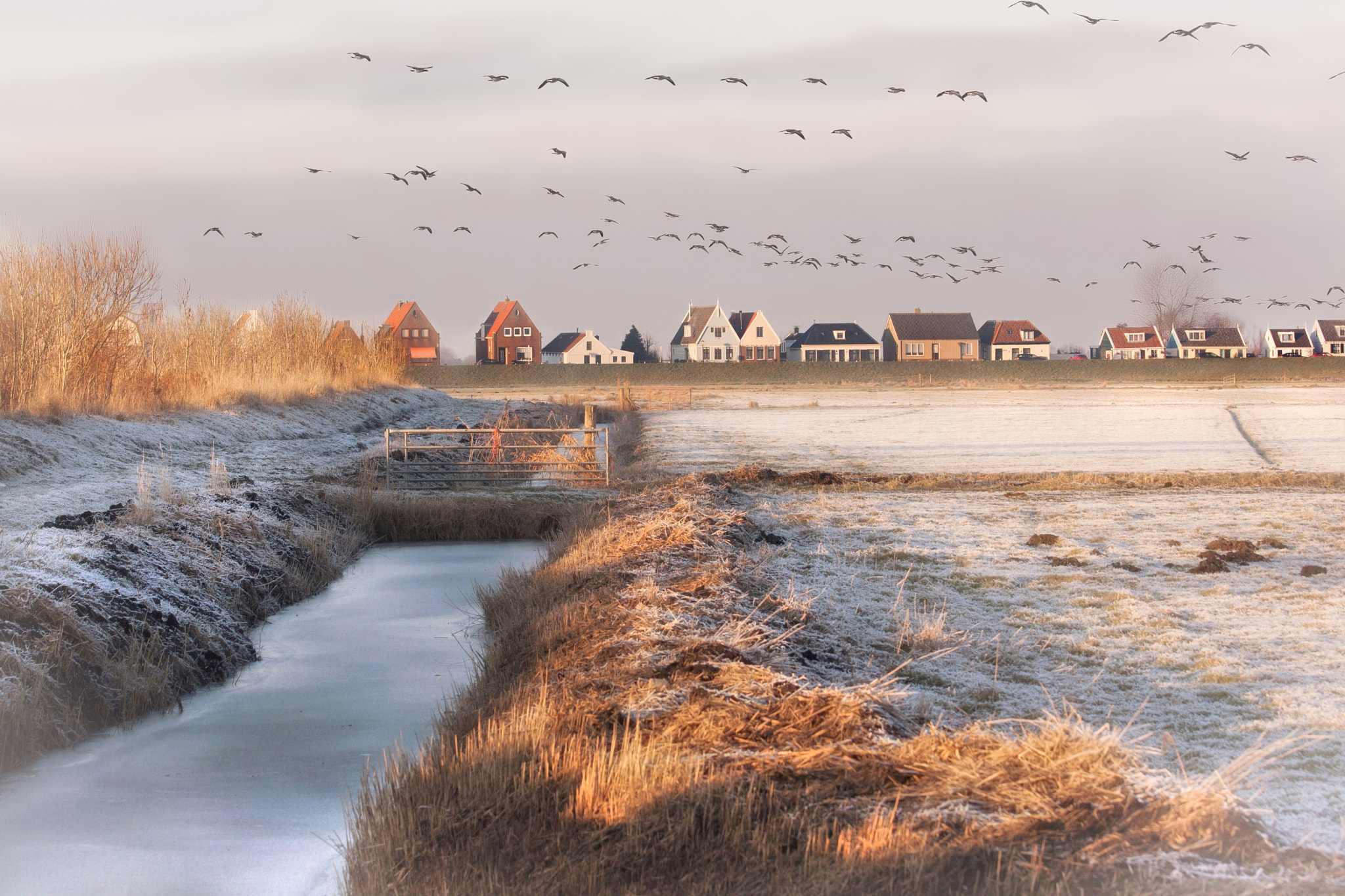 Canon EF 70-300mm F4-5.6 IS USM sample photo. 'durgerdammerdijk' photography