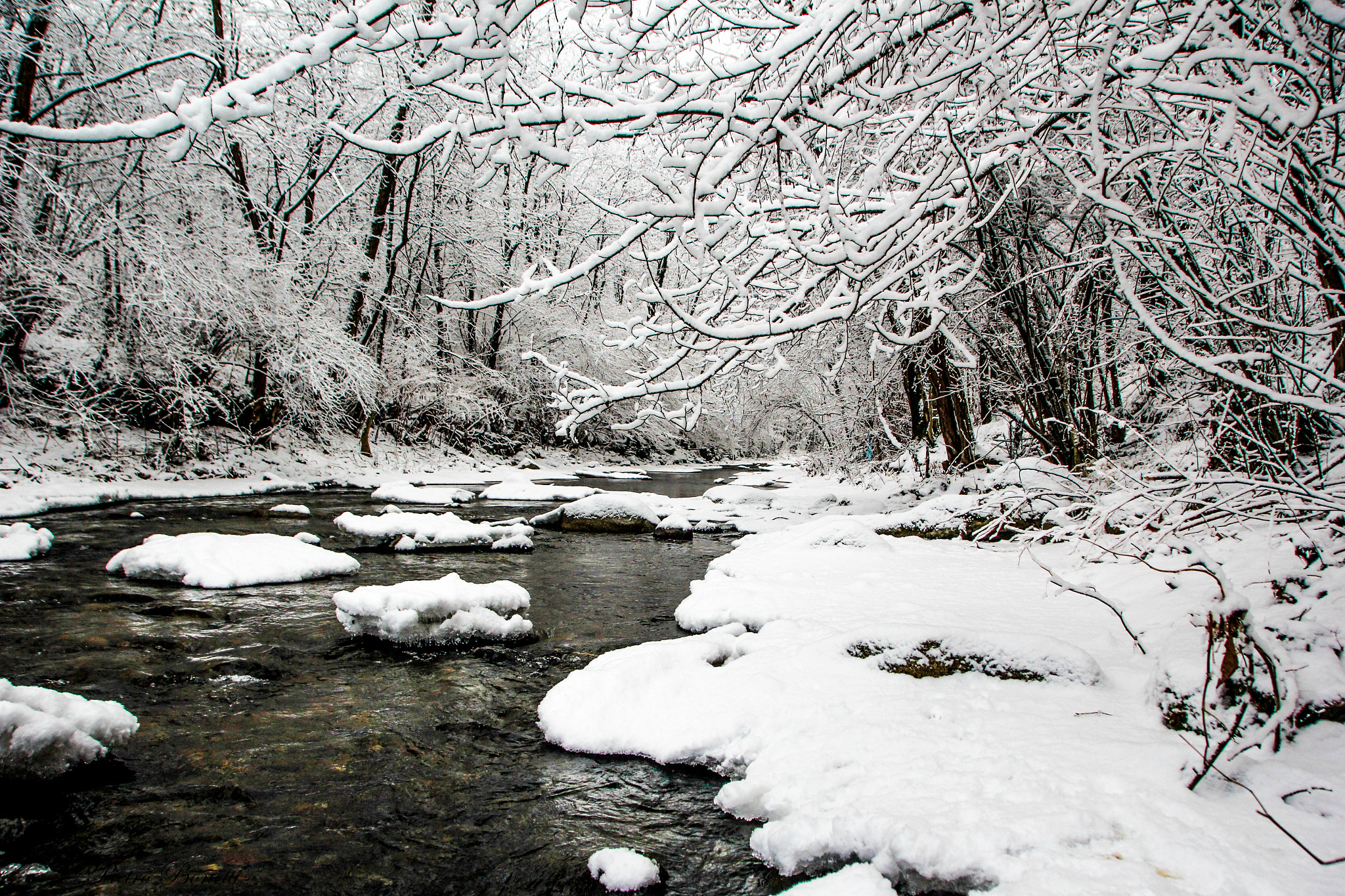 Canon EOS 60D sample photo. Icy river photography