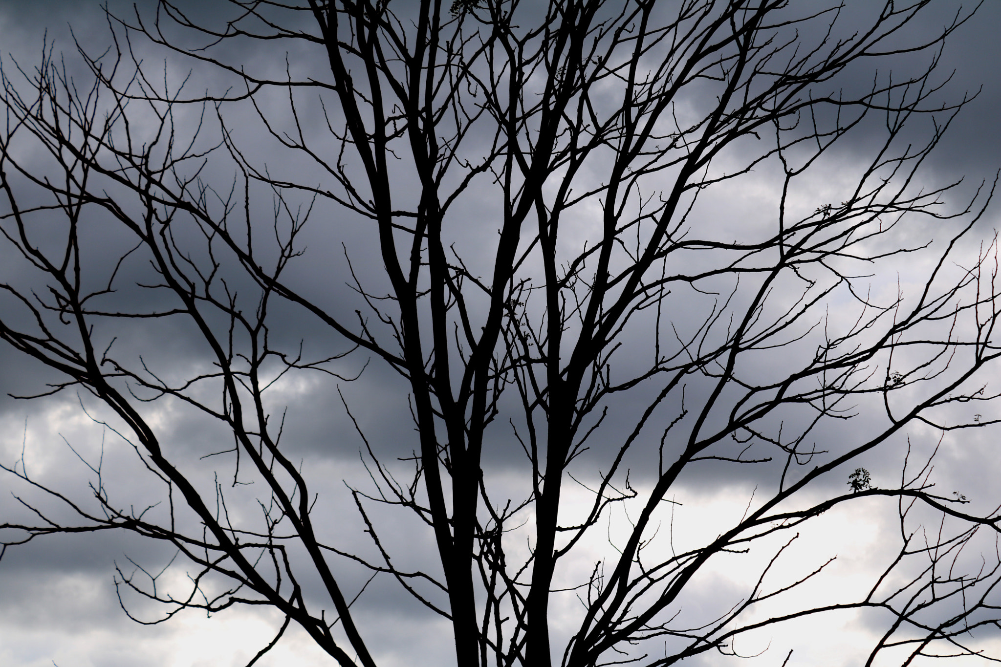 Canon EOS 760D (EOS Rebel T6s / EOS 8000D) sample photo. Into darkness photography
