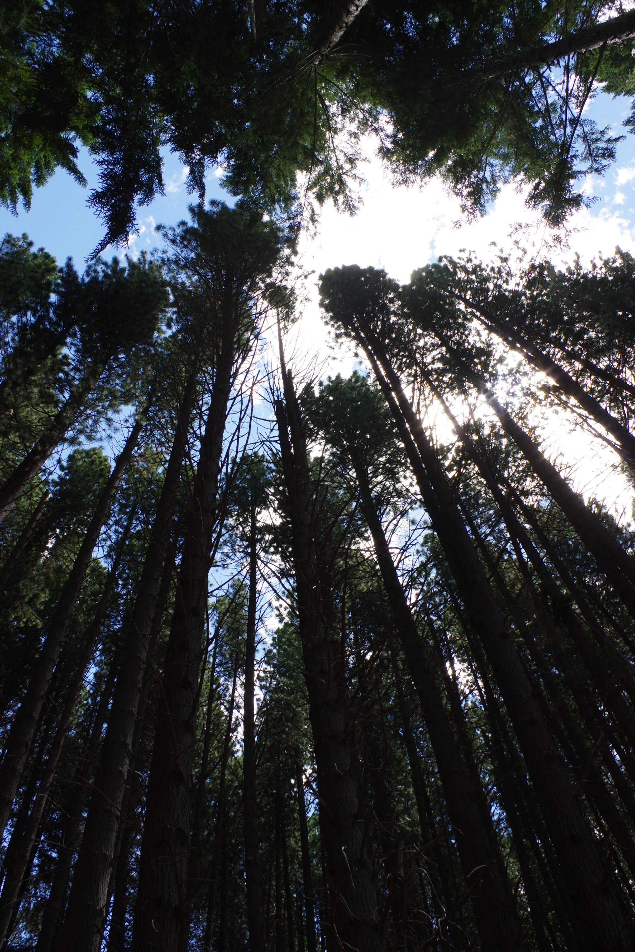 Pentax K-3 sample photo. Bariloche photography