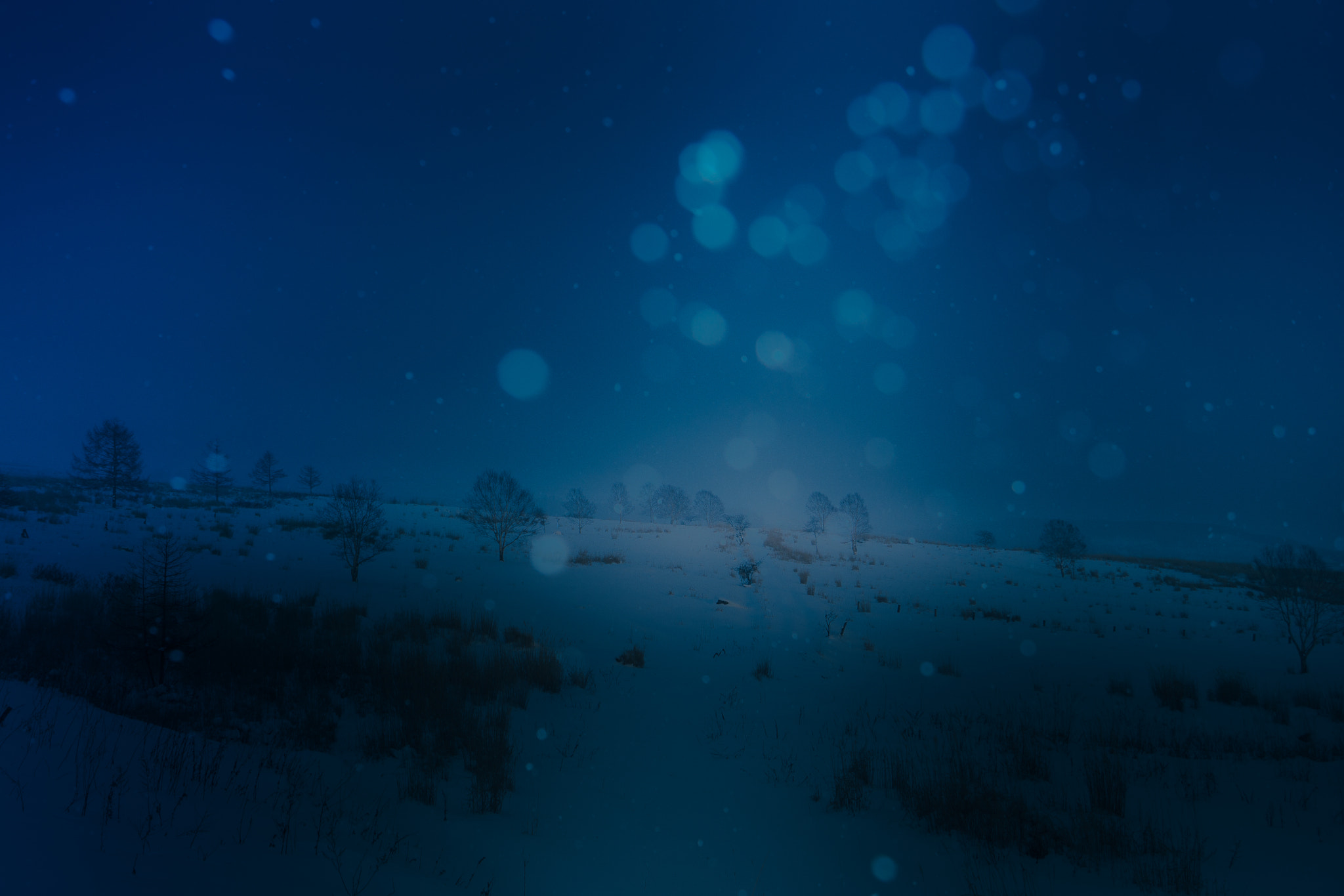 Sony SLT-A65 (SLT-A65V) + Sony DT 18-55mm F3.5-5.6 SAM sample photo. 雪 yukiⅡ photography
