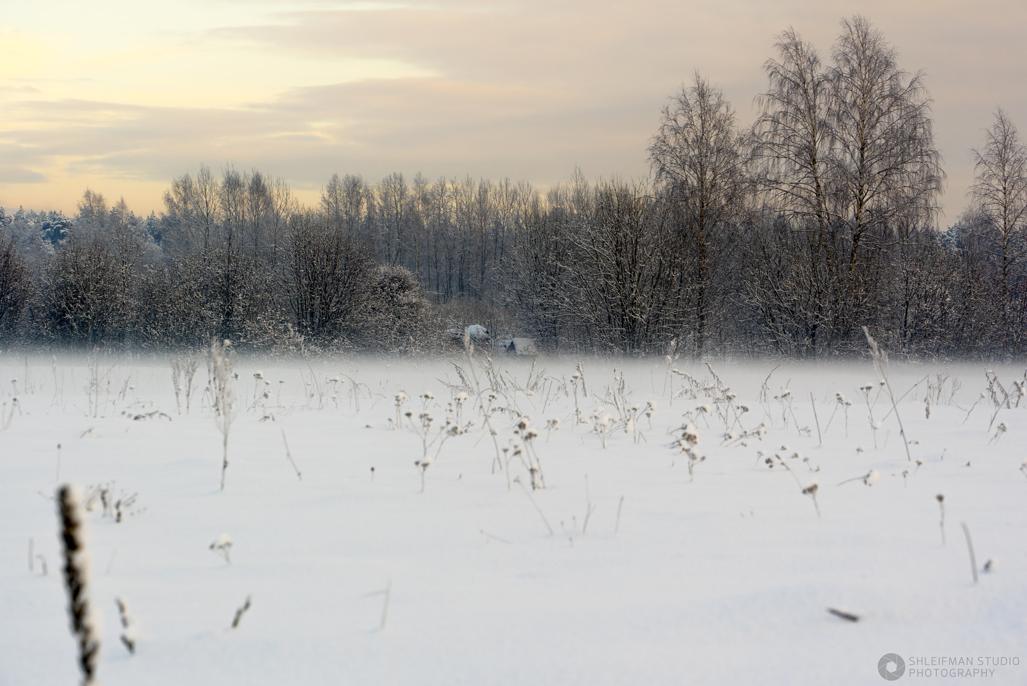 Sony a7S II sample photo. Fog photography