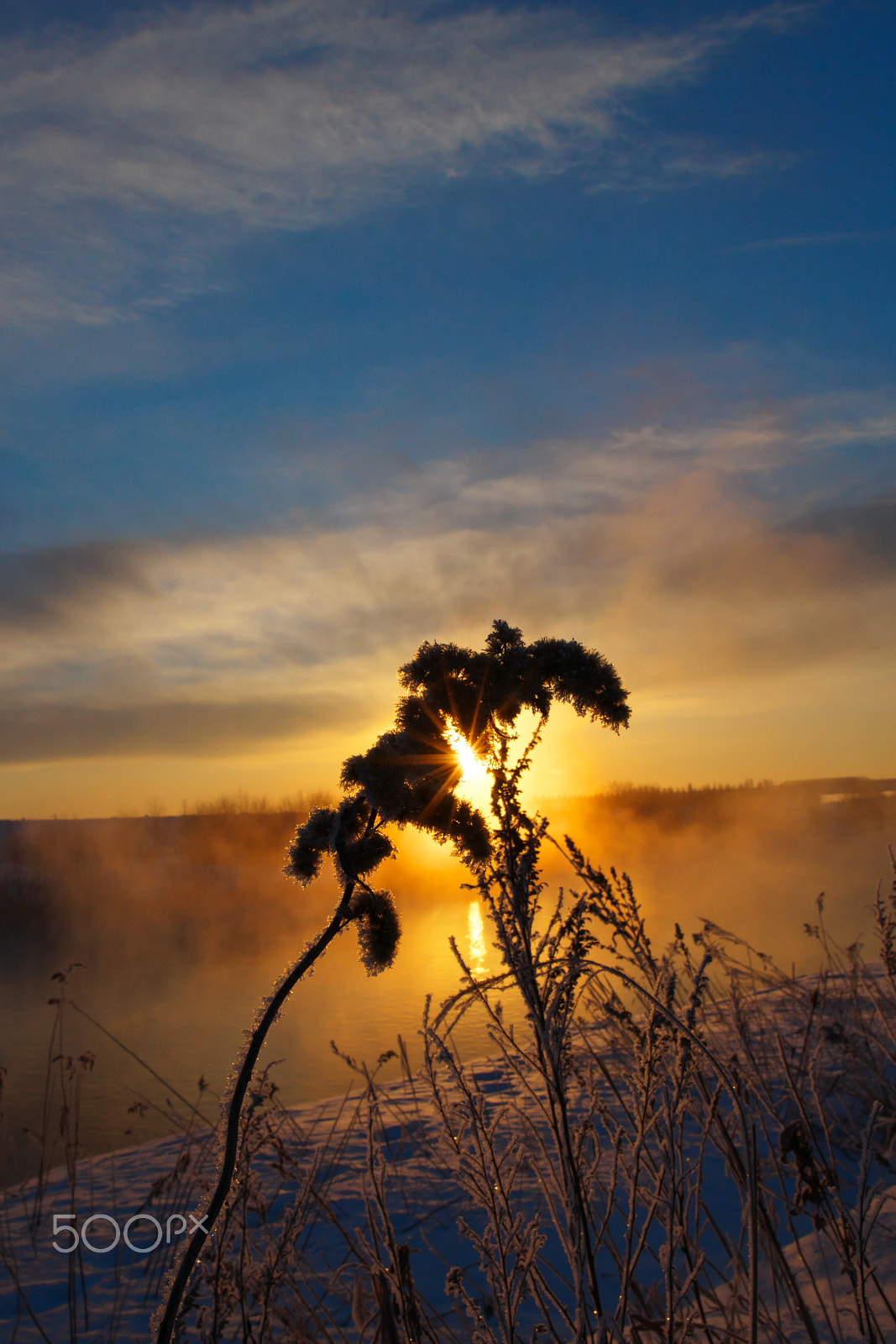 Nikon D500 sample photo. -17 degree celsius photography