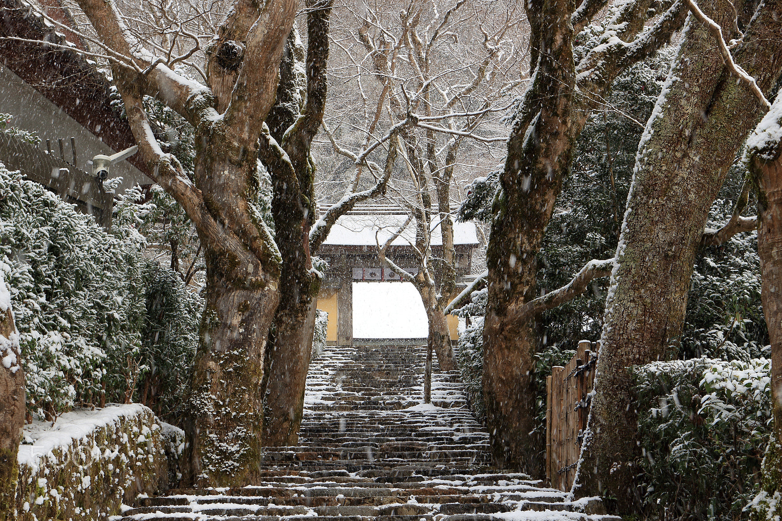 Canon EF 35mm F2 IS USM sample photo. Jyakkoin in the snow photography