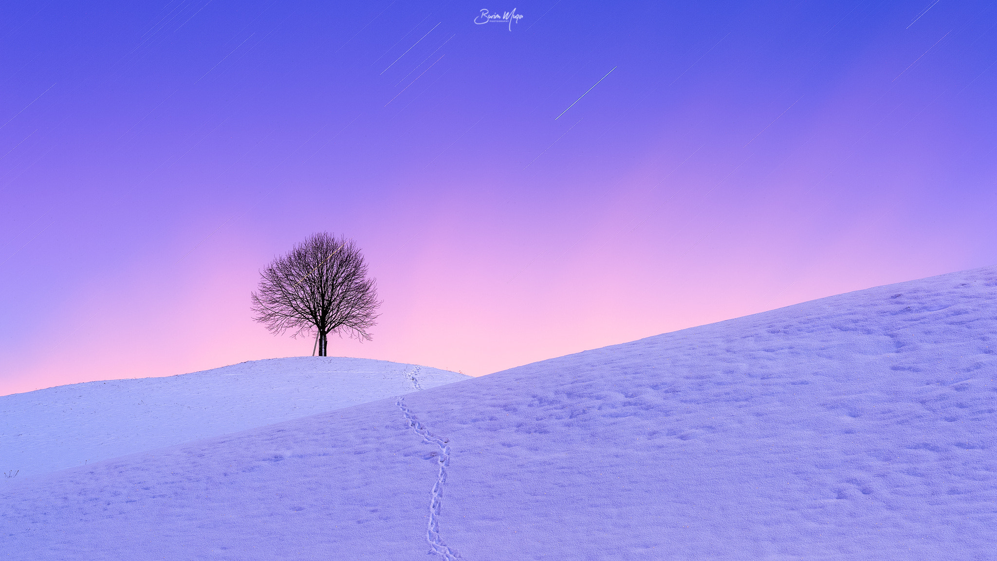 Nikon Df + Nikon AF-S Nikkor 85mm F1.4G sample photo. Winter mood photography