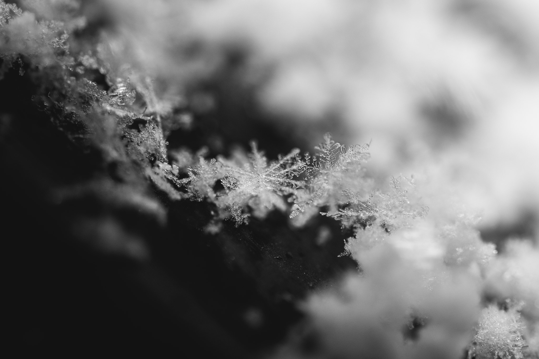 Nikon AF-S Micro-Nikkor 60mm F2.8G ED sample photo. Flocons photography