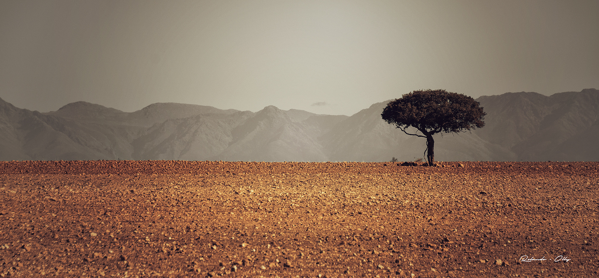 Sigma 18-250mm F3.5-6.3 DC OS HSM sample photo. Life in the karoo photography