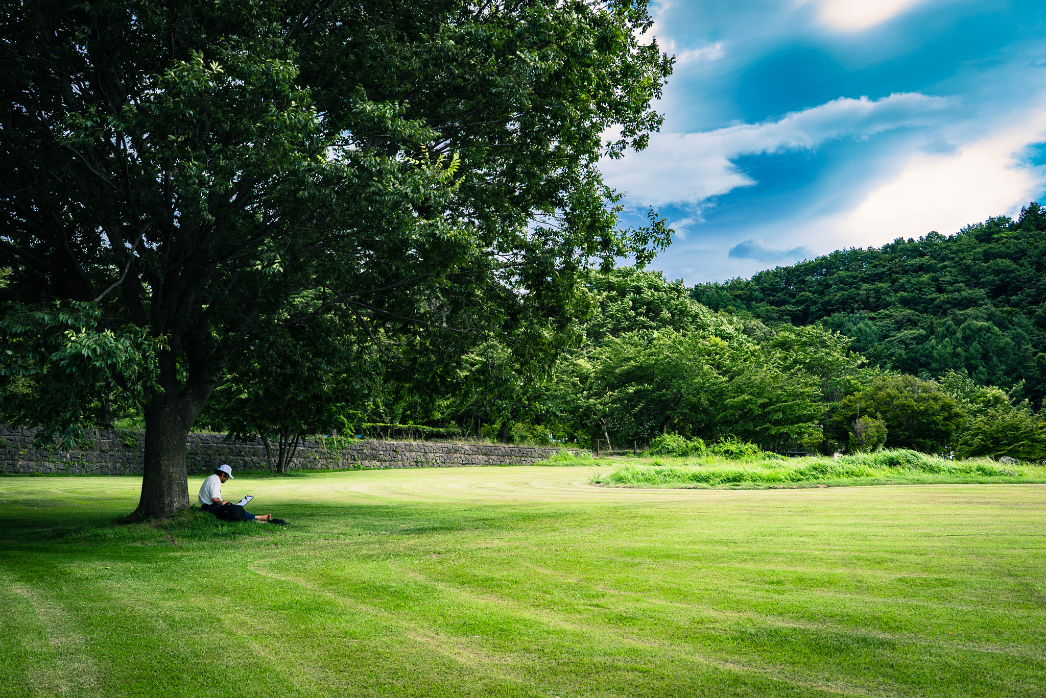 Sony a7S + Sony Sonnar T* FE 35mm F2.8 ZA sample photo. Working at nature - green grass photography