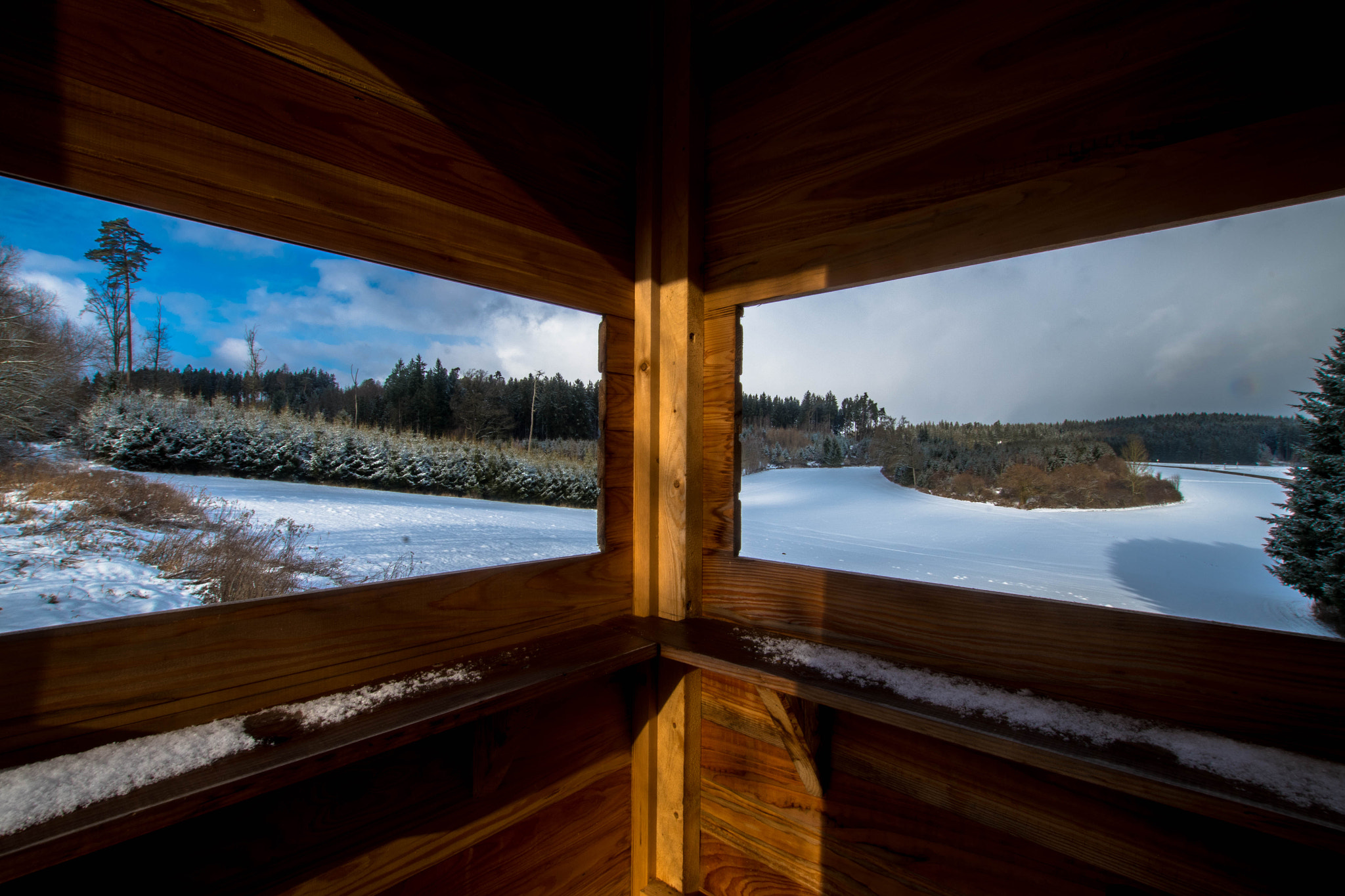 Pentax K-S1 sample photo. Forest windows photography