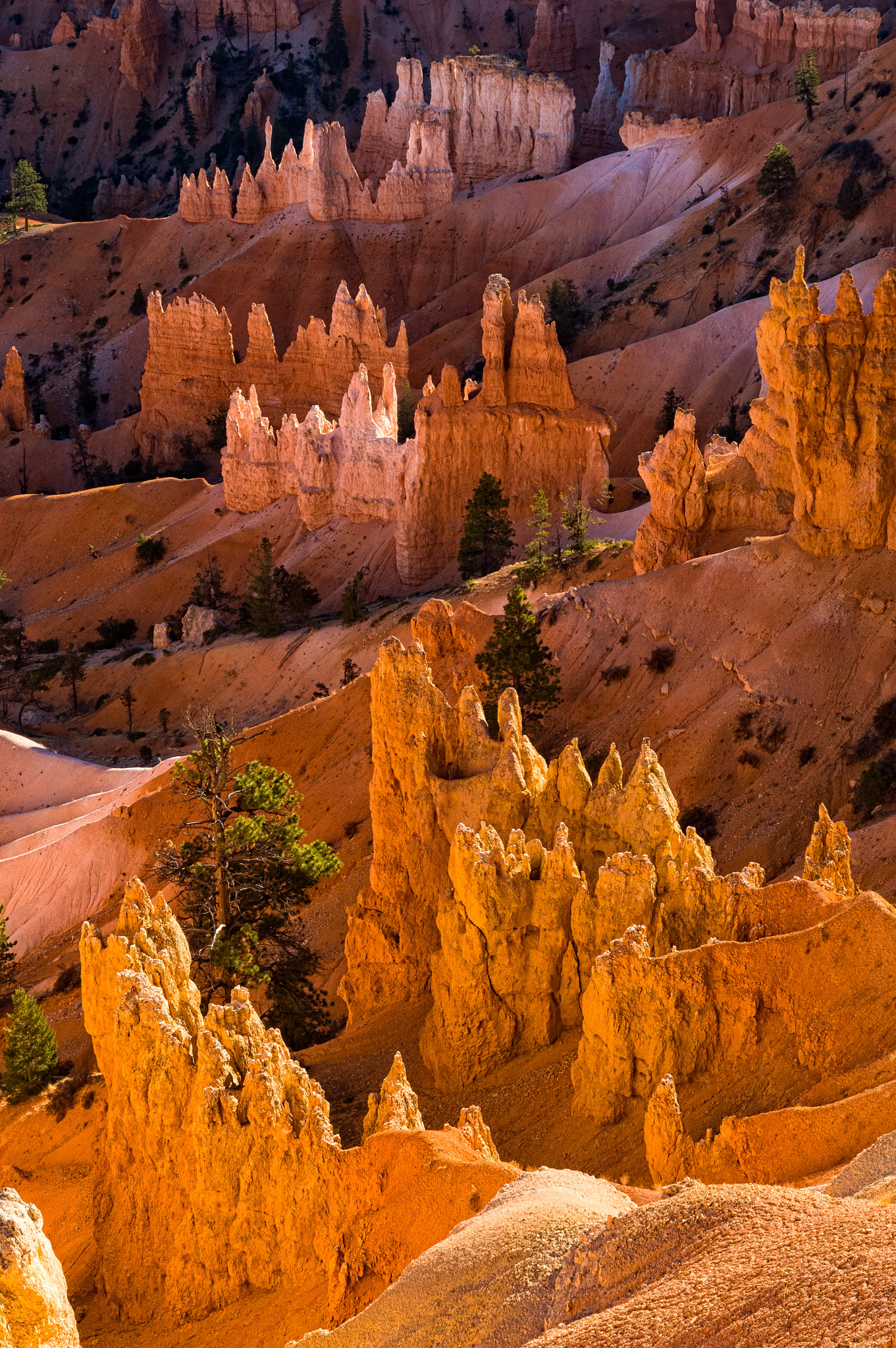 Nikon D2X sample photo. Bryce canyon colorful vibrant rim view utah photography