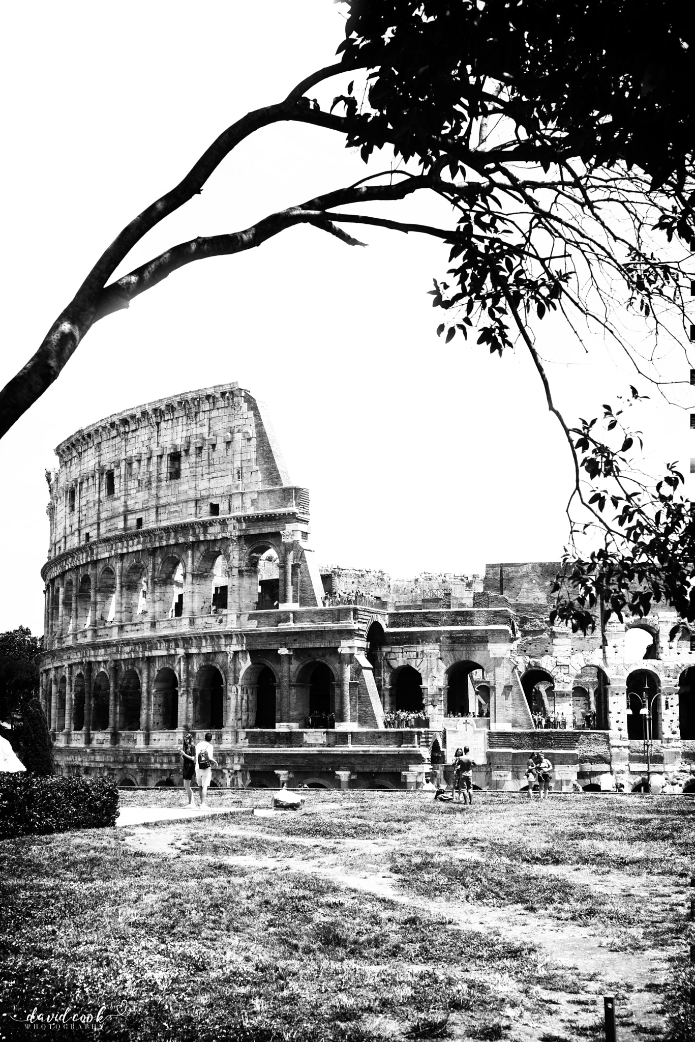 Nikon D610 sample photo. Rome colosseum b&w photography