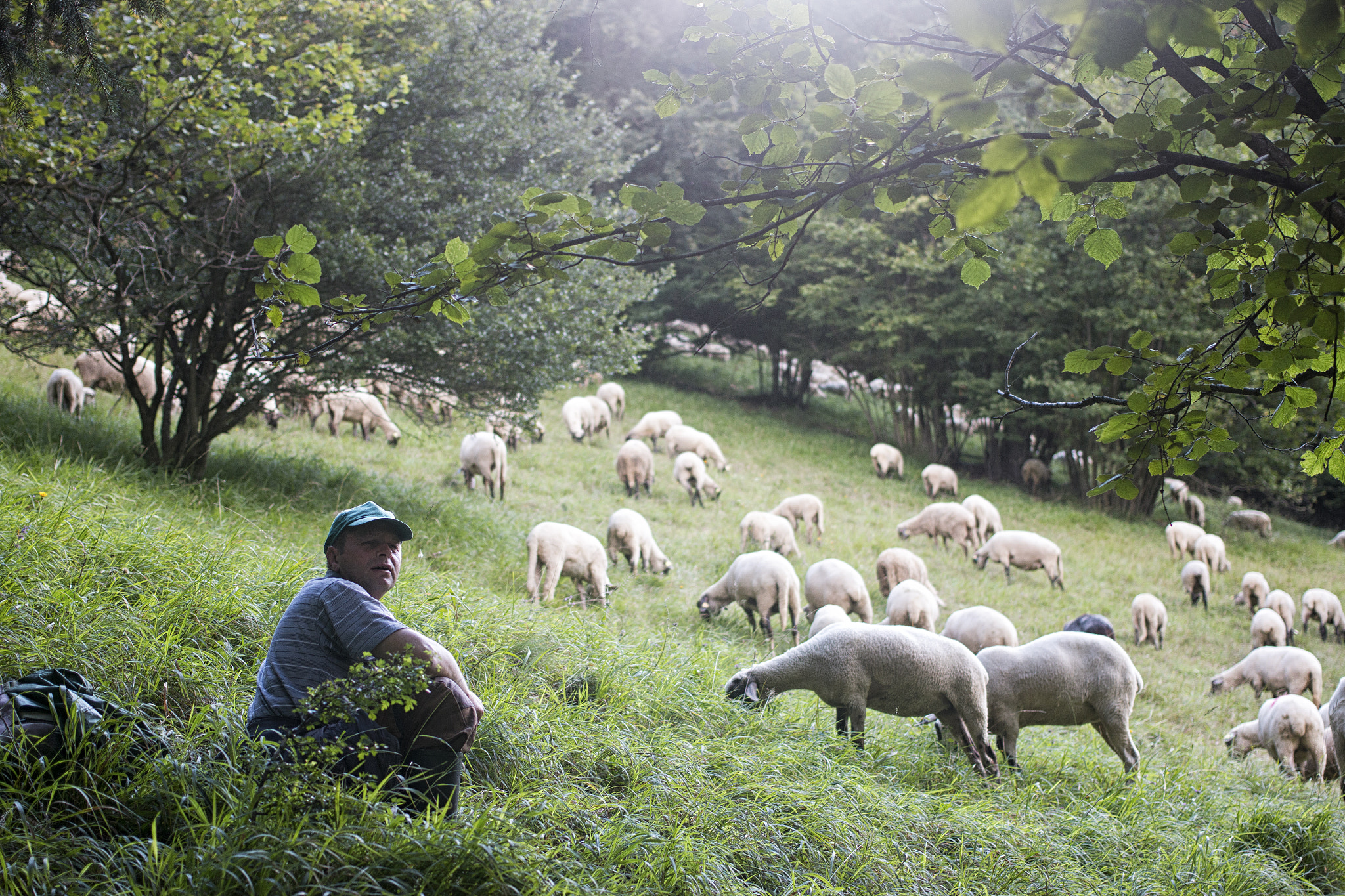 Canon EOS 70D + Canon EF 40mm F2.8 STM sample photo. The shepherd photography