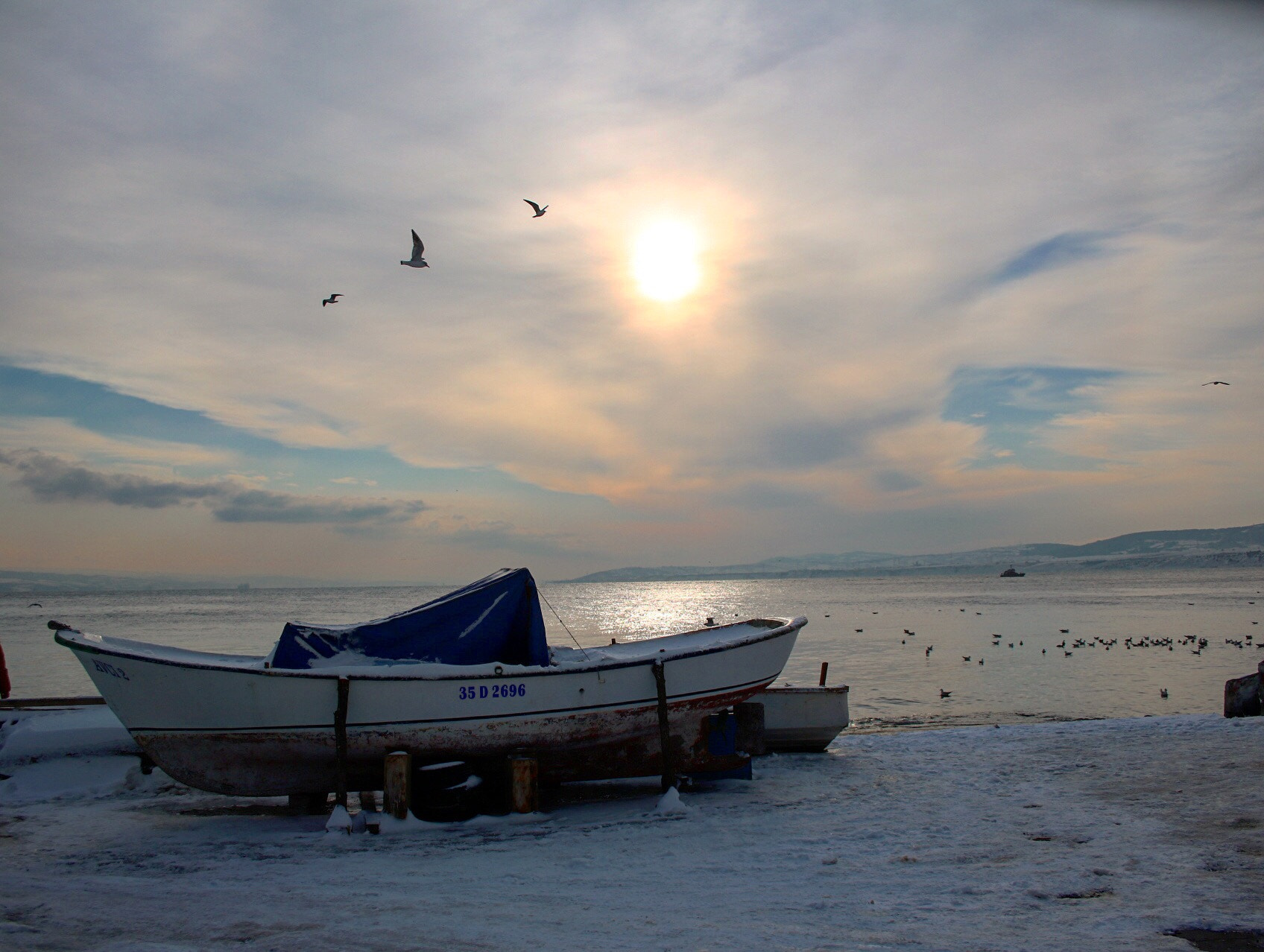 Canon EF-S 18-55mm F3.5-5.6 II sample photo. "there is beauty in everythİng..." photography