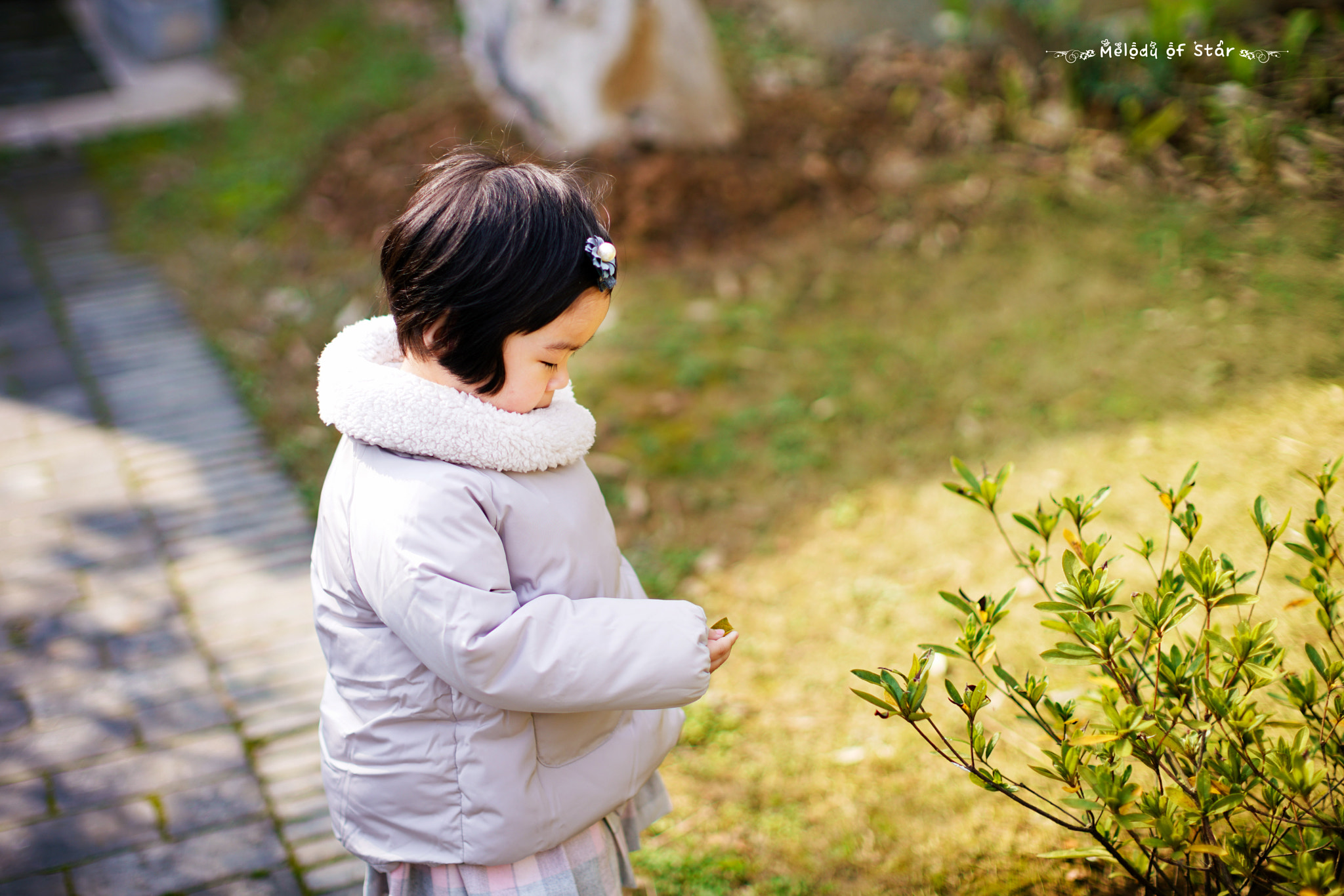 Canon EF 50mm F1.2L USM sample photo