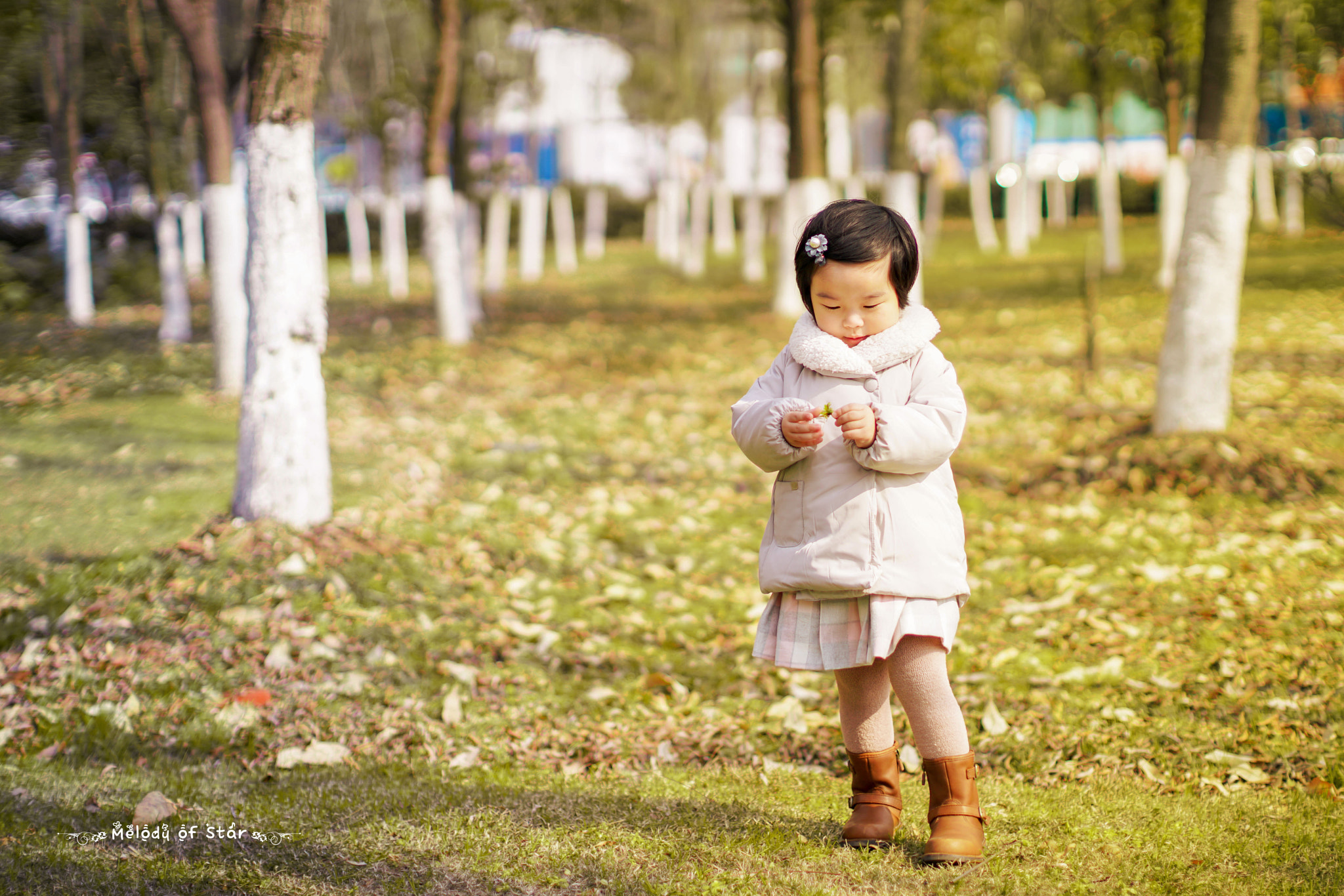 Canon EF 50mm F1.2L USM sample photo