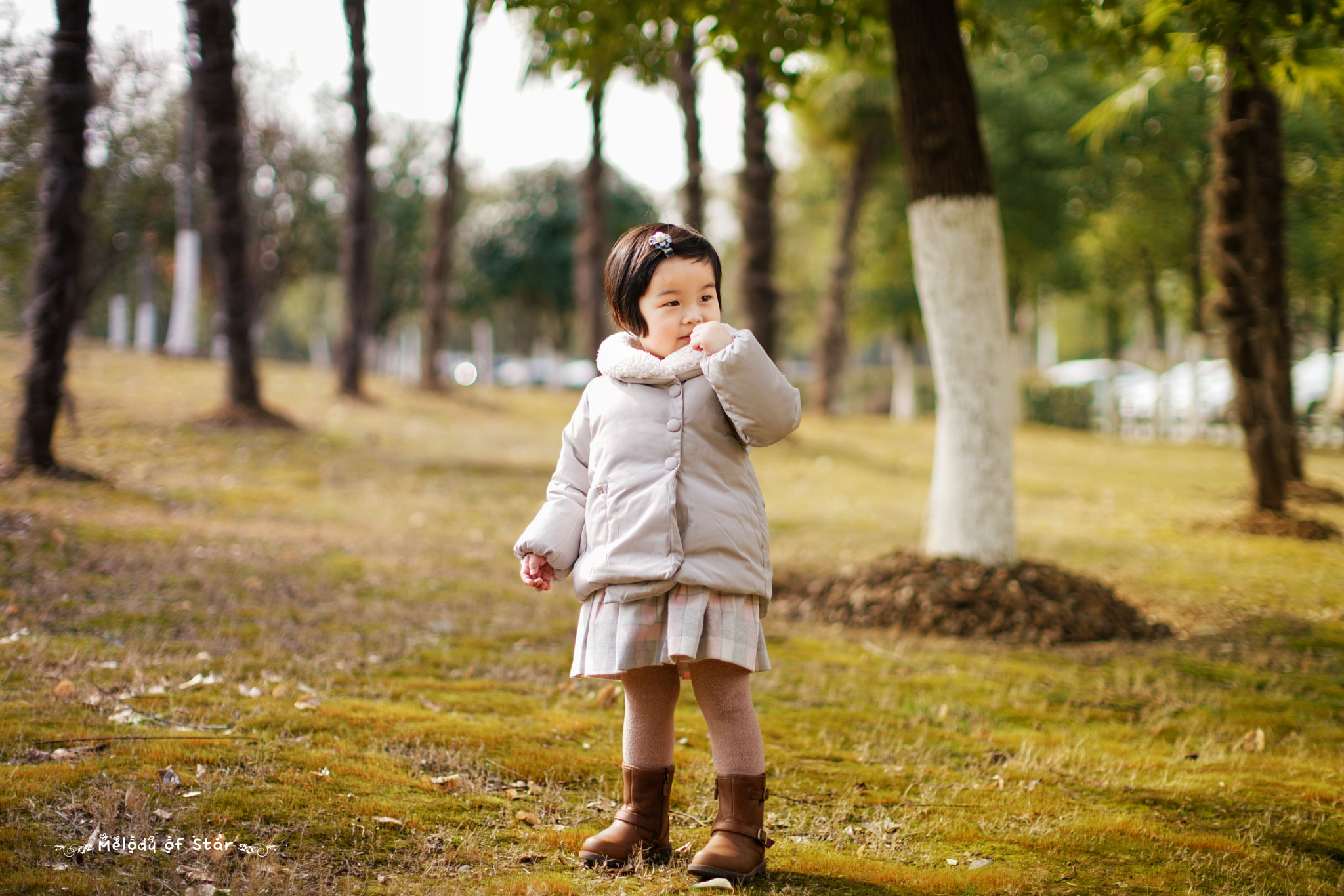 Canon EF 50mm F1.2L USM sample photo
