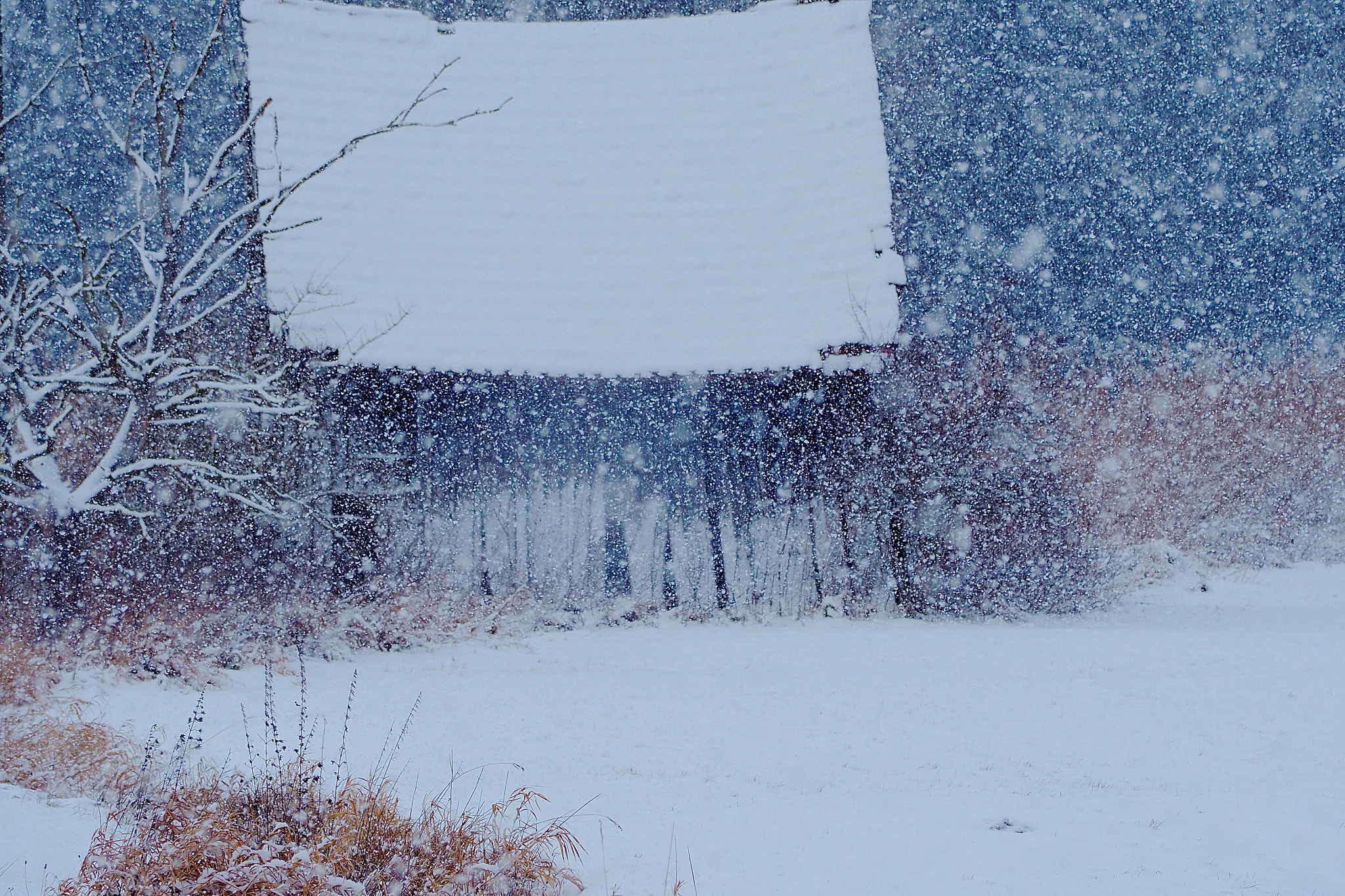 Olympus OM-D E-M5 II sample photo. Reitenbuch wonderland photography