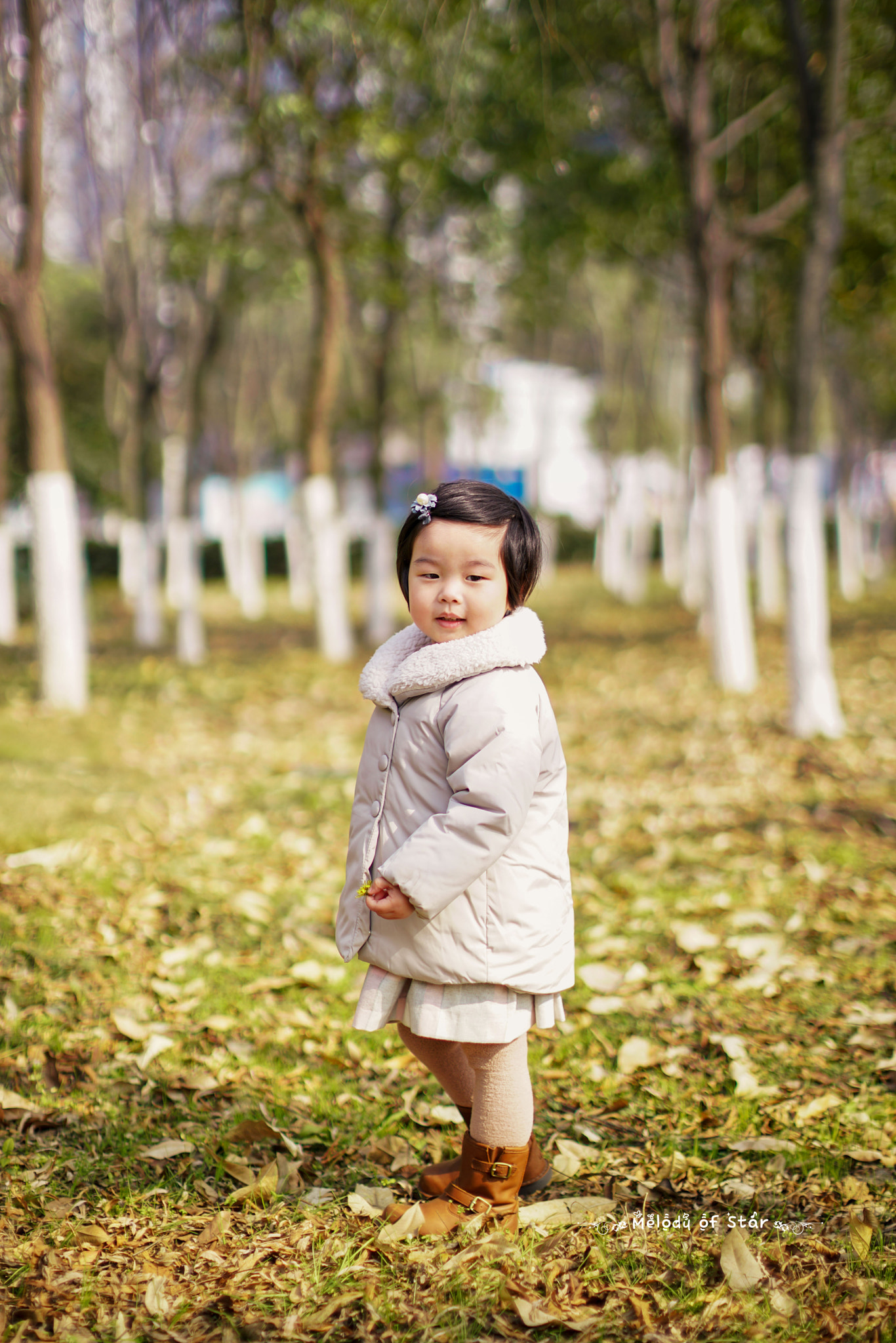 Canon EF 50mm F1.2L USM sample photo