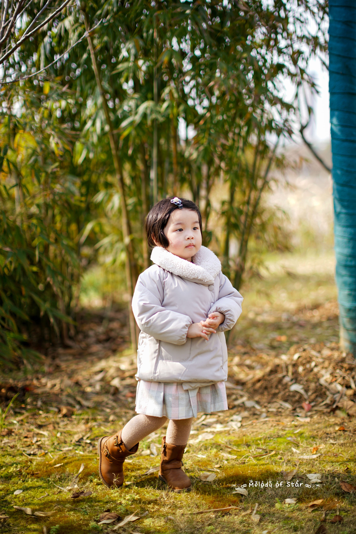 Canon EF 50mm F1.2L USM sample photo
