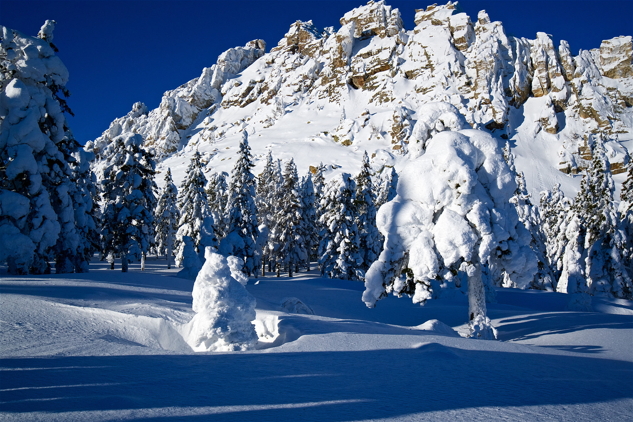 Sony a7R II + Sony Vario-Tessar T* FE 16-35mm F4 ZA OSS sample photo. откликной photography