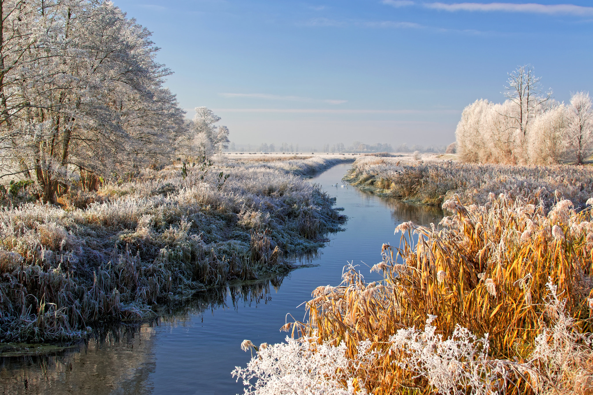 Canon EF 28-135mm F3.5-5.6 IS USM sample photo. White morning photography