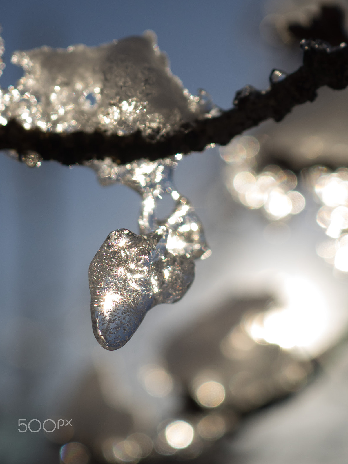 Olympus OM-D E-M1 sample photo. Frozen heart photography