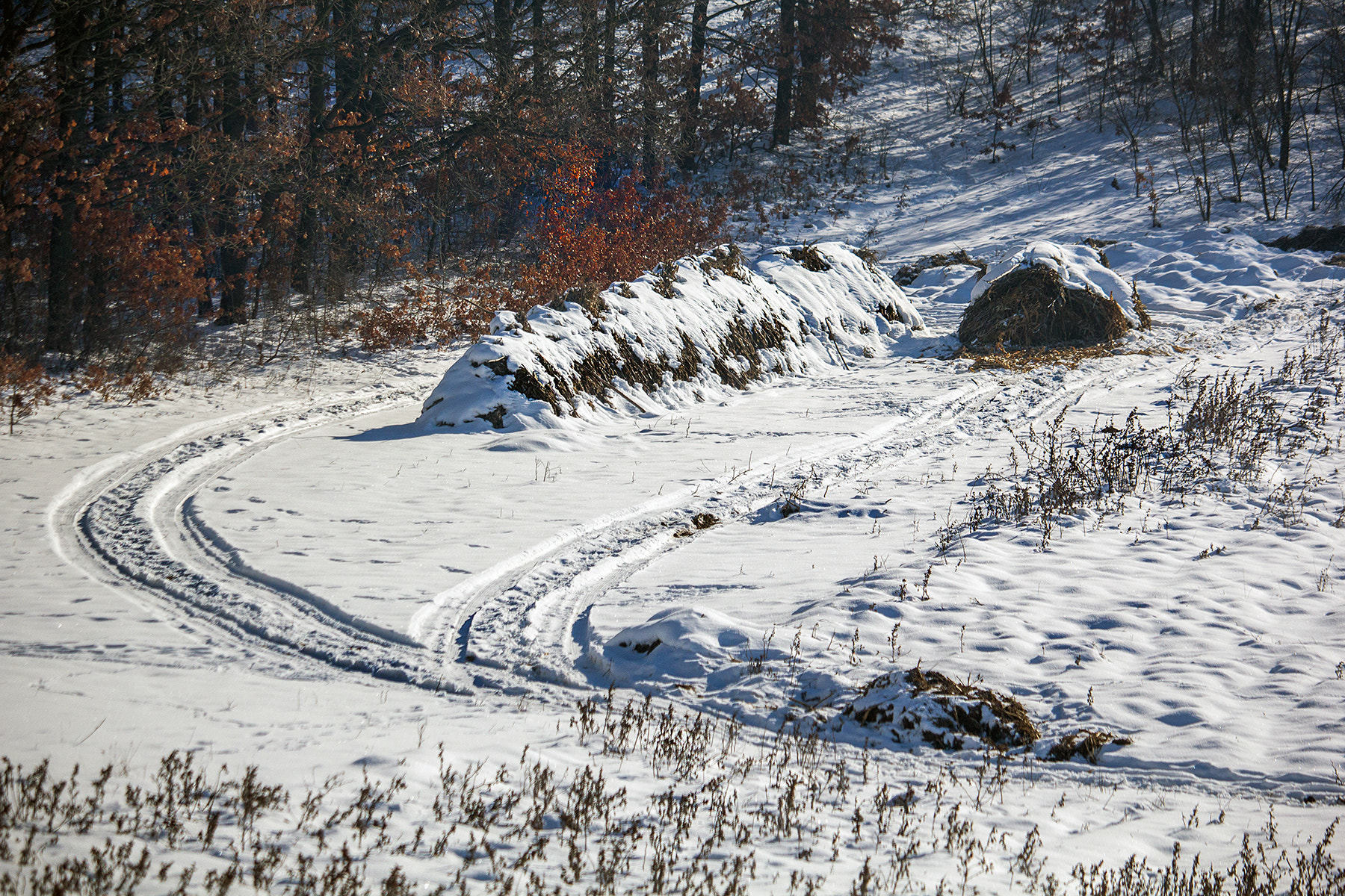 Canon EF-S 55-250mm F4-5.6 IS STM sample photo. Winter photography