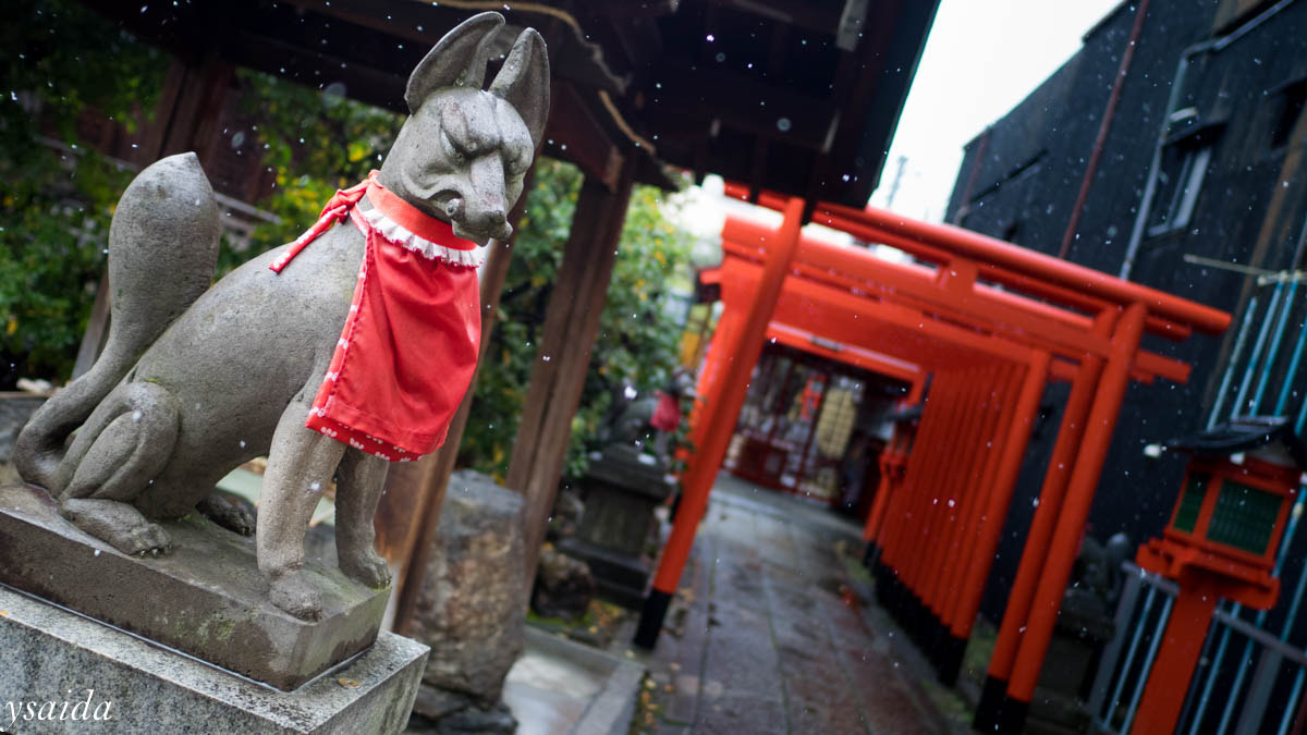 Olympus OM-D E-M1 + LEICA DG SUMMILUX 15/F1.7 sample photo. Gate photography