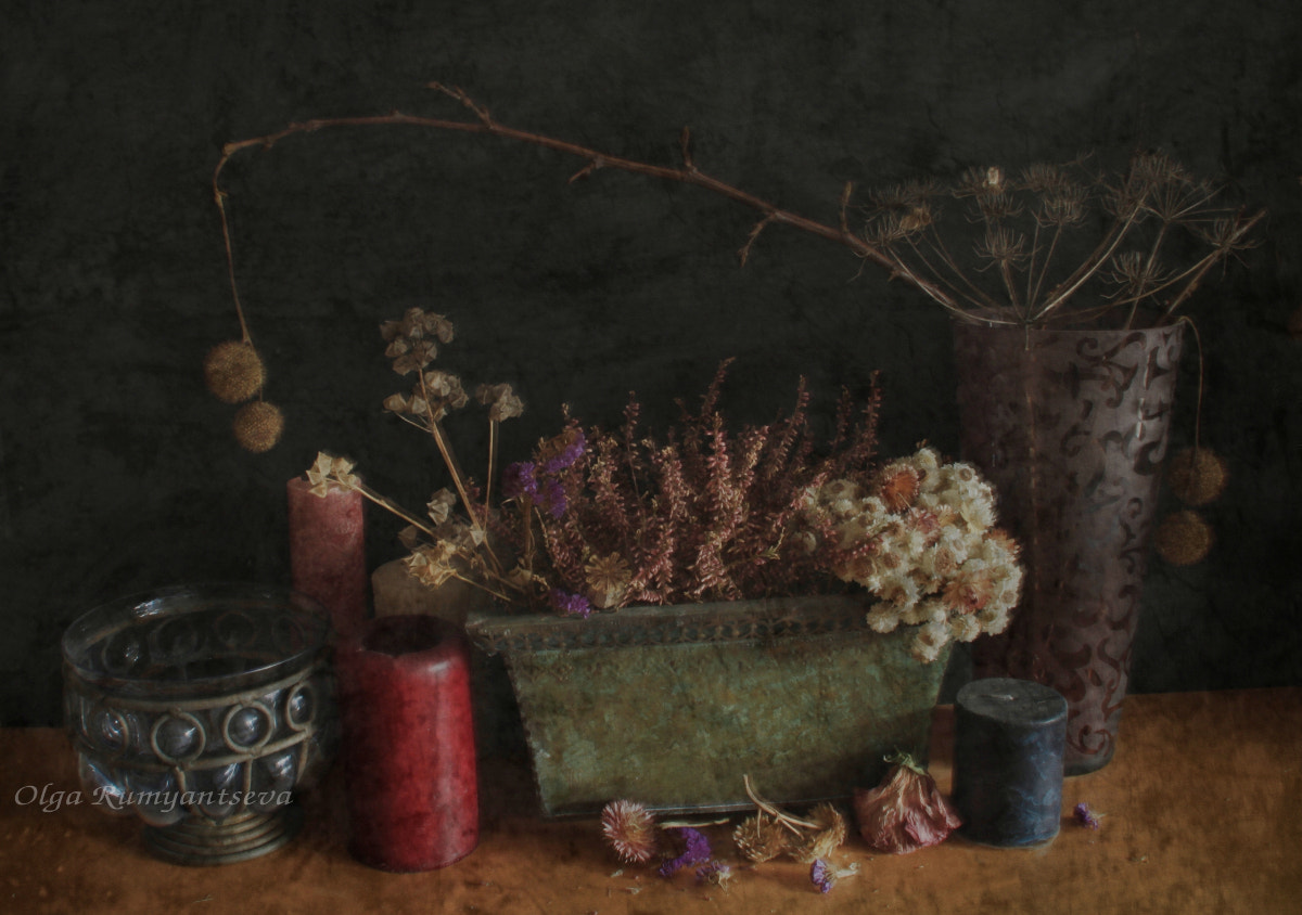 Canon EOS 50D sample photo. Still life with dried flowers. photography