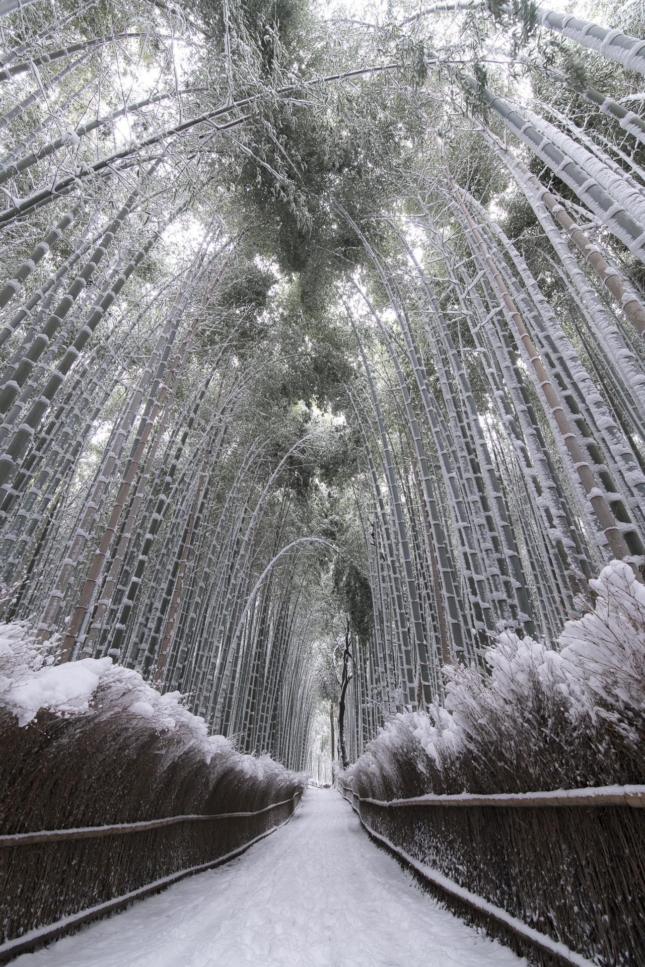 Canon EF 300mm f/2.8L sample photo. Snow road photography
