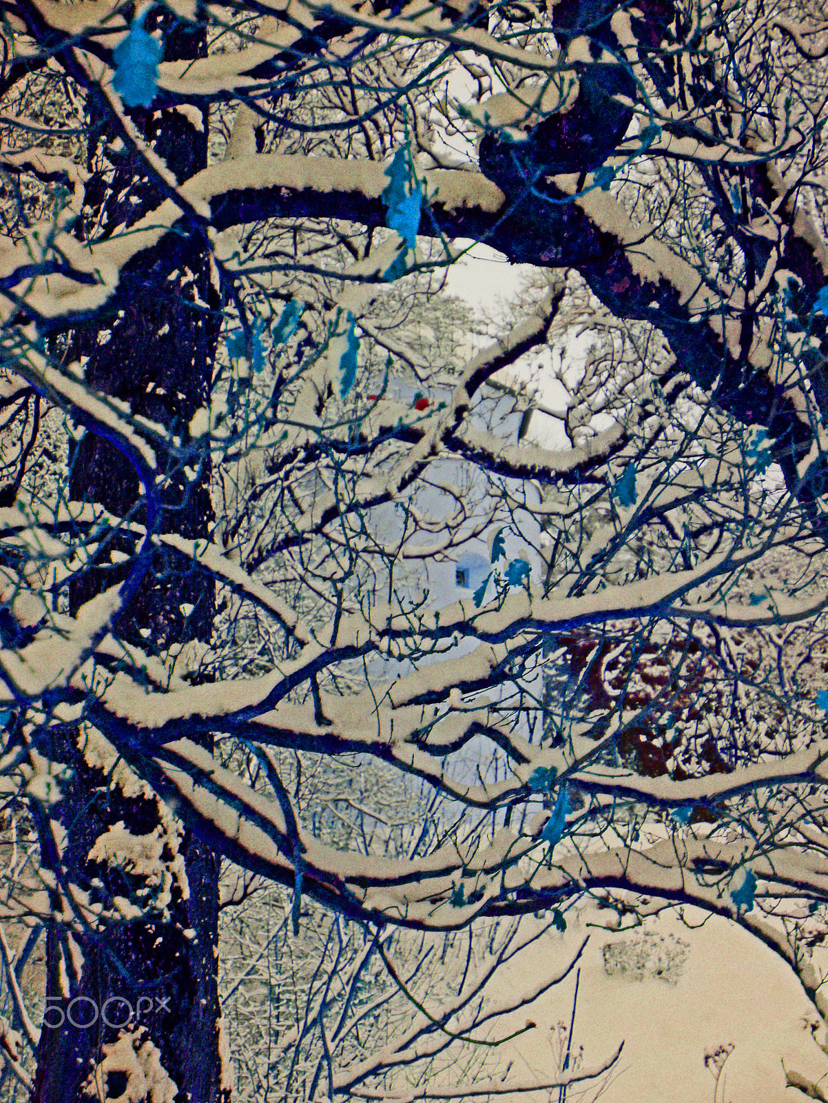Panasonic Lumix DMC-G3 sample photo. Branches and snow photography