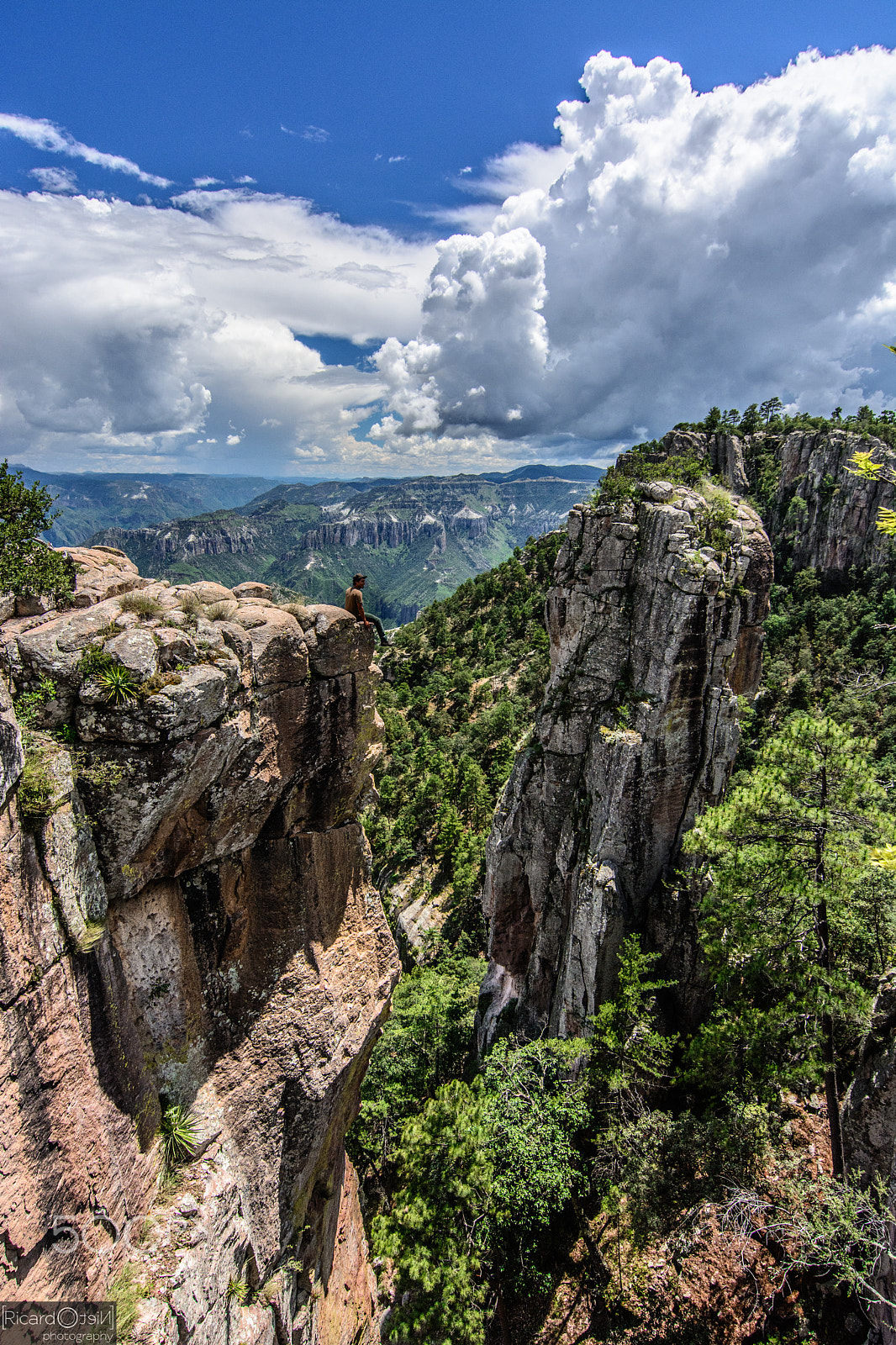 Tokina AT-X Pro 11-16mm F2.8 DX sample photo. Patolín @ copper canyon photography