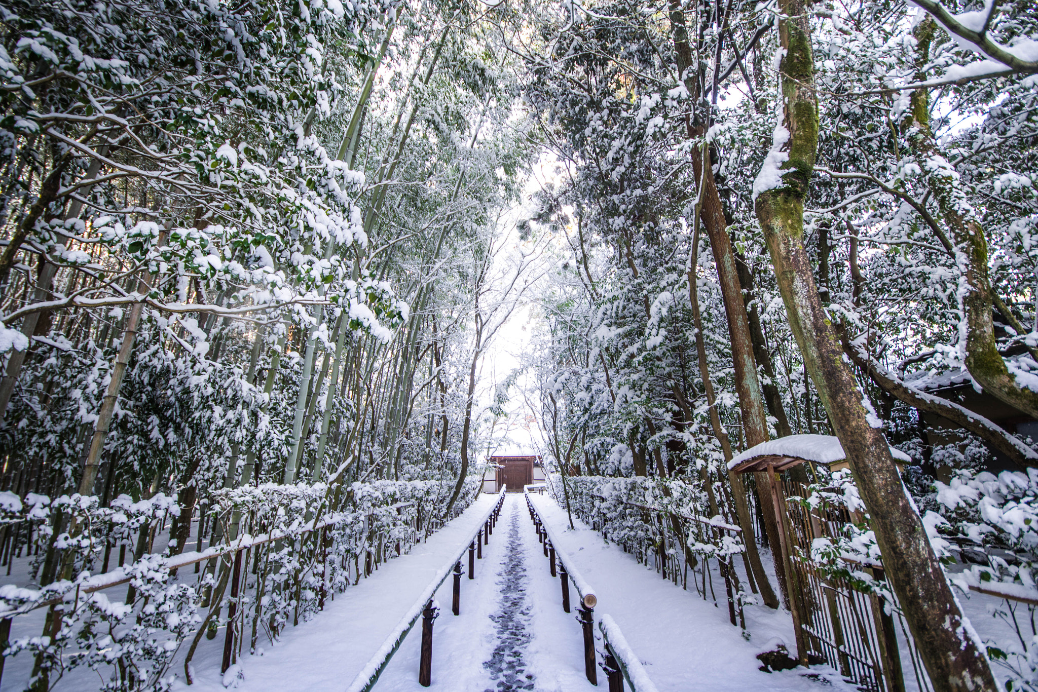 Pentax K-1 sample photo. 雪化粧　white temple photography