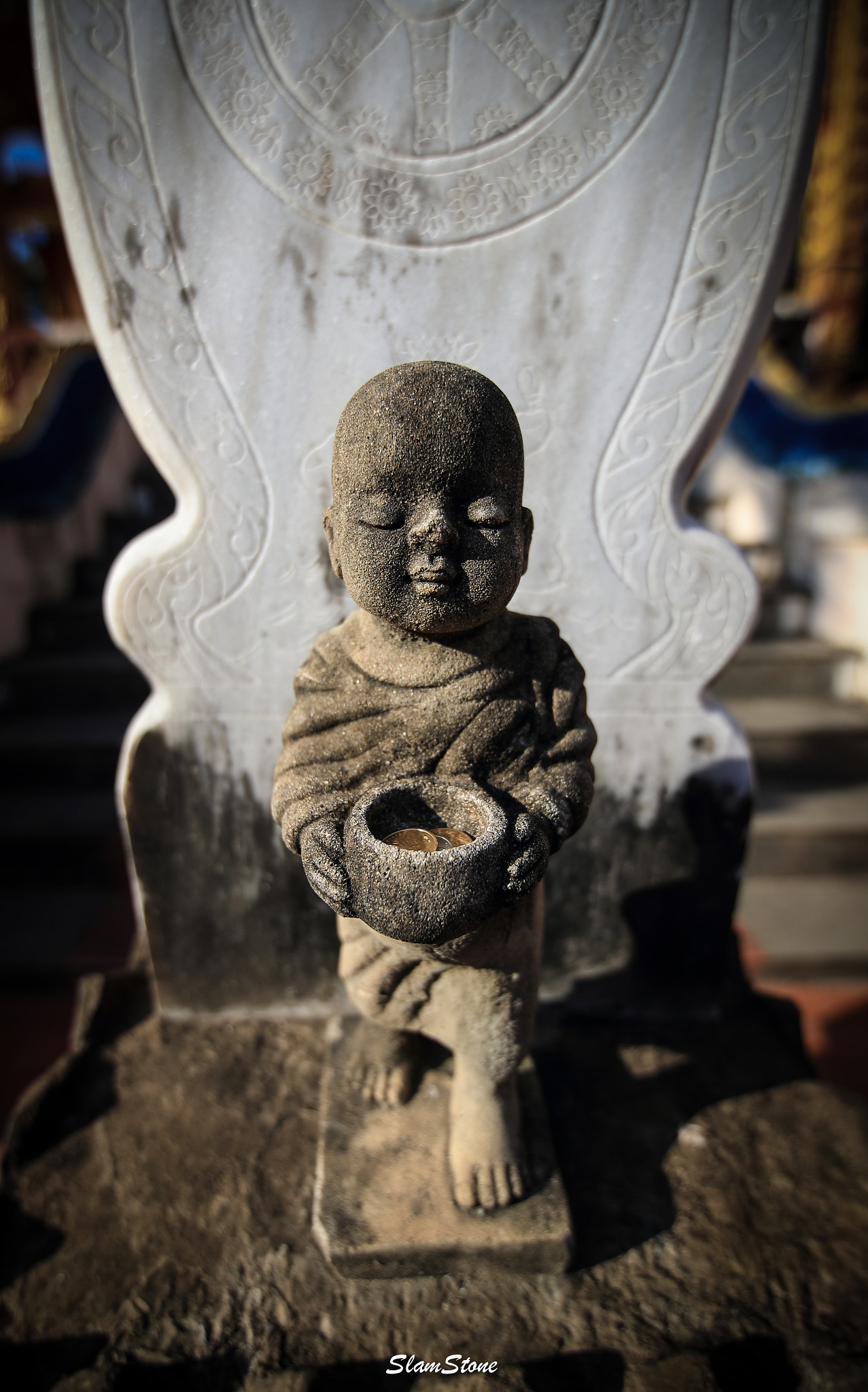 Canon EF 300mm f/2.8L sample photo. Little monck photography