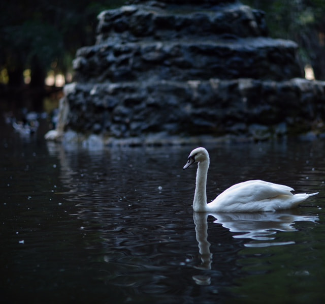 Canon EOS 5DS + Canon EF 85mm F1.2L II USM sample photo. Lights photography