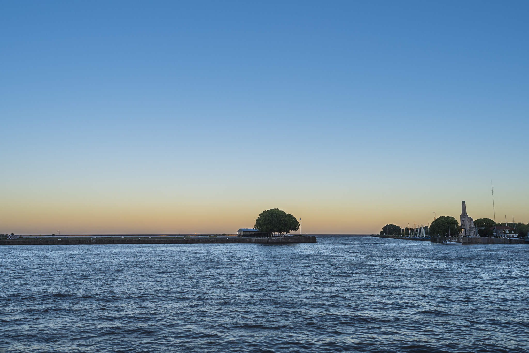 Nikon AF Nikkor 24mm F2.8D sample photo. Lonely tree photography