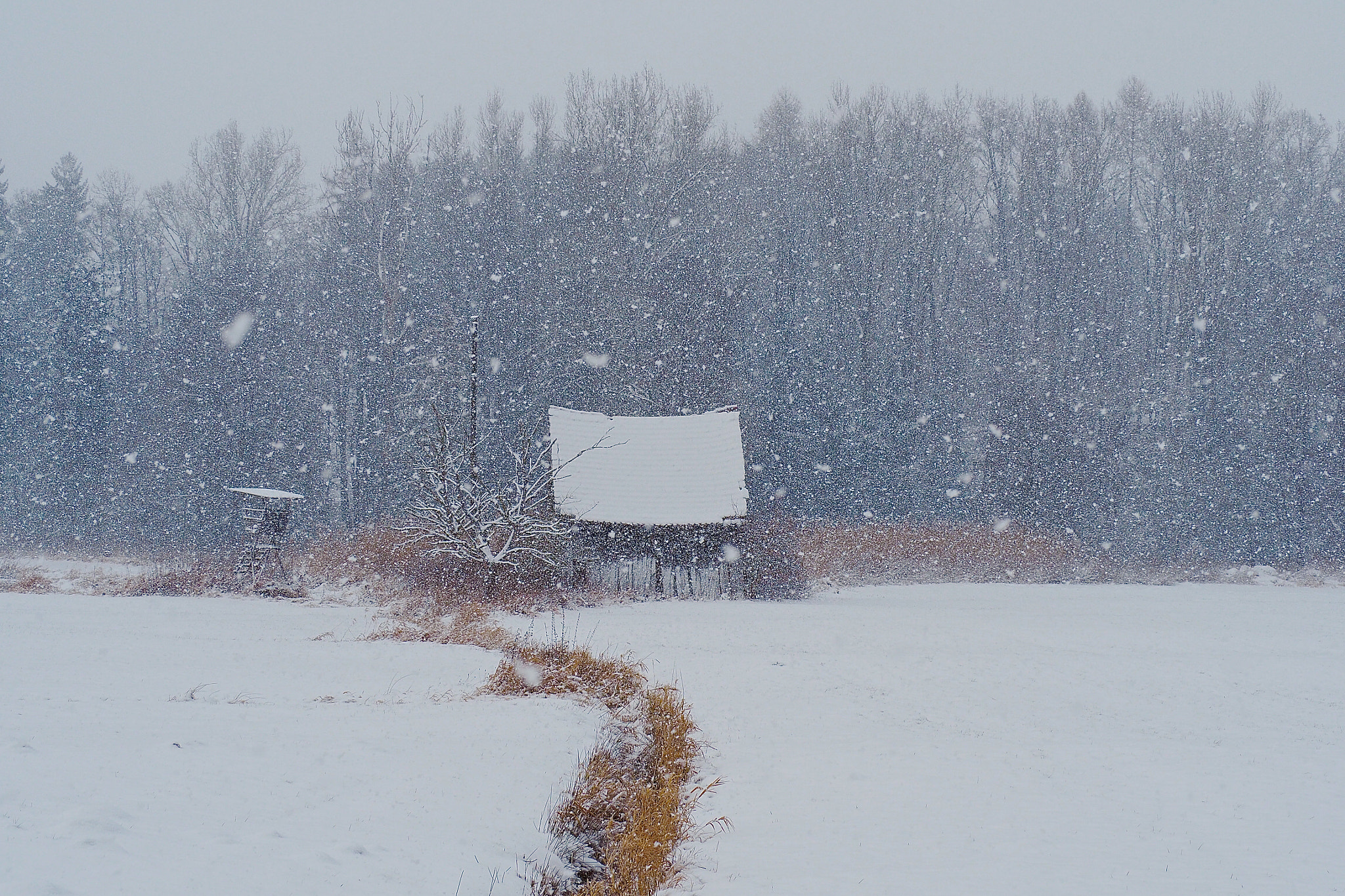 Olympus OM-D E-M5 II sample photo. Winter landscape photography