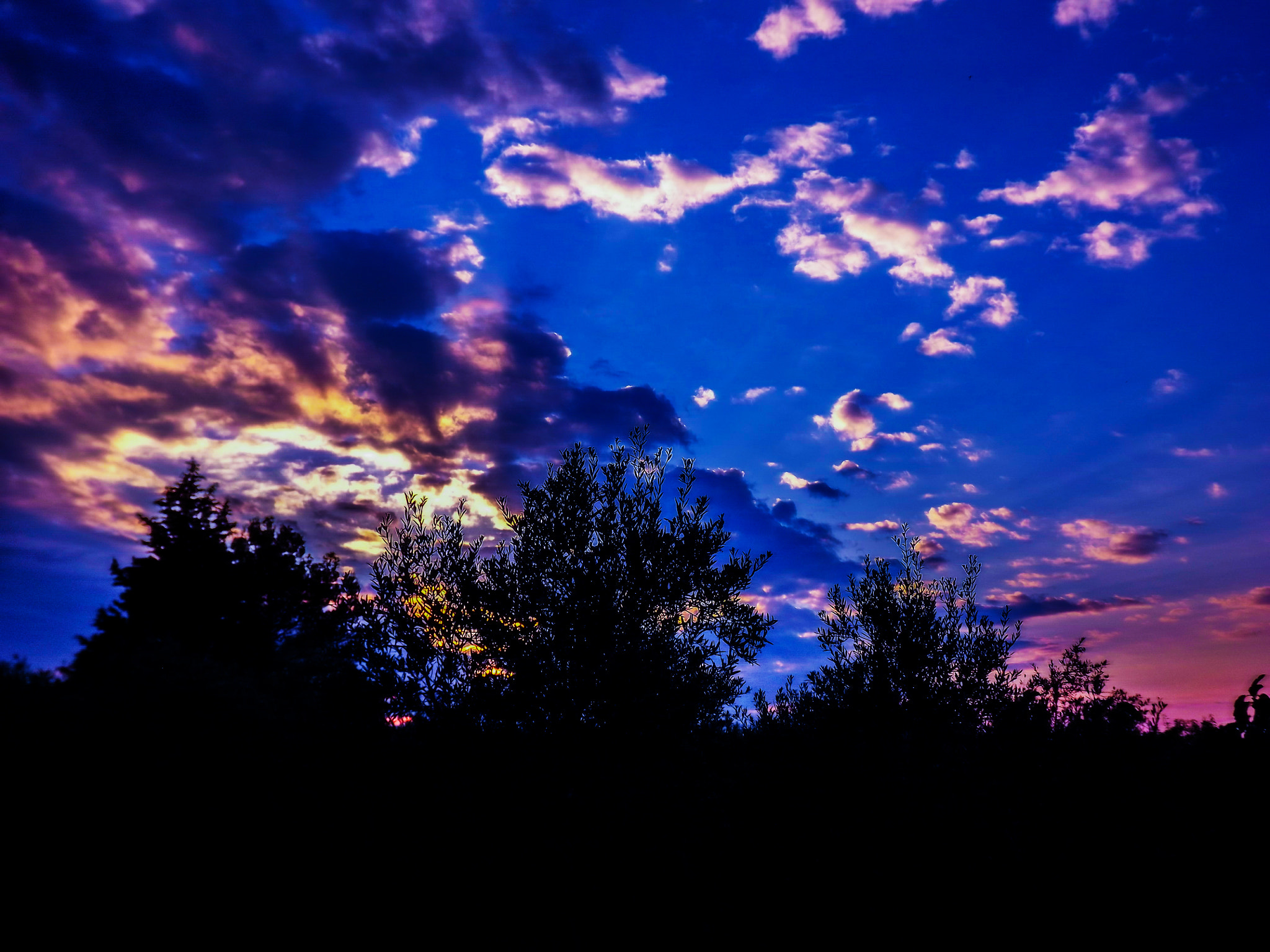 FujiFilm FinePix S3200 (FinePix S3250) sample photo. Sunset over the trees photography