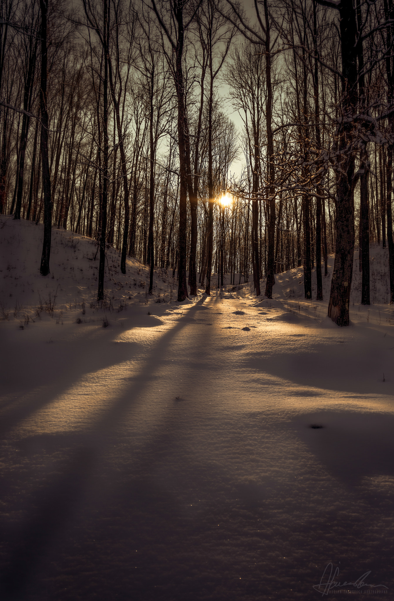 AF Zoom-Nikkor 28-80mm f/3.3-5.6G sample photo. Sunset at nisipoasa, moreni, romania. photography