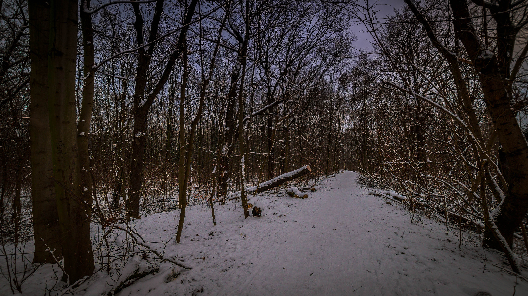 Sony SLT-A58 + Sigma 10-20mm F3.5 EX DC HSM sample photo. Snowy walks photography