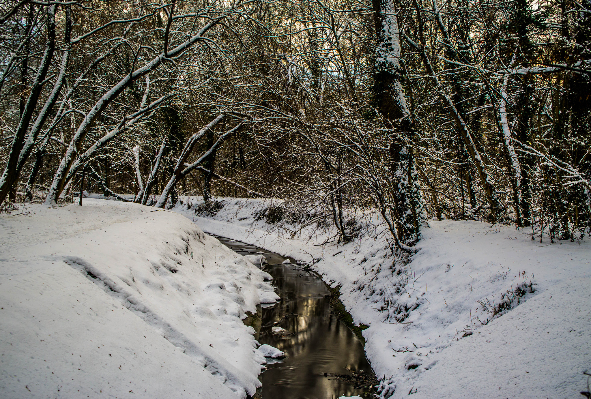 Sony Alpha NEX-3 sample photo. River photography