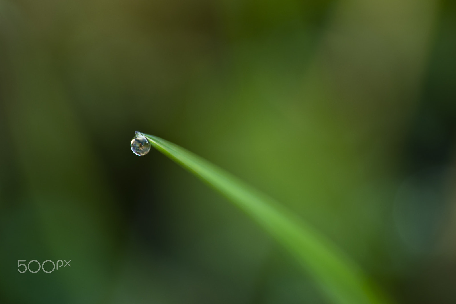 Sigma 150mm F2.8 EX DG Macro HSM sample photo. Just there photography