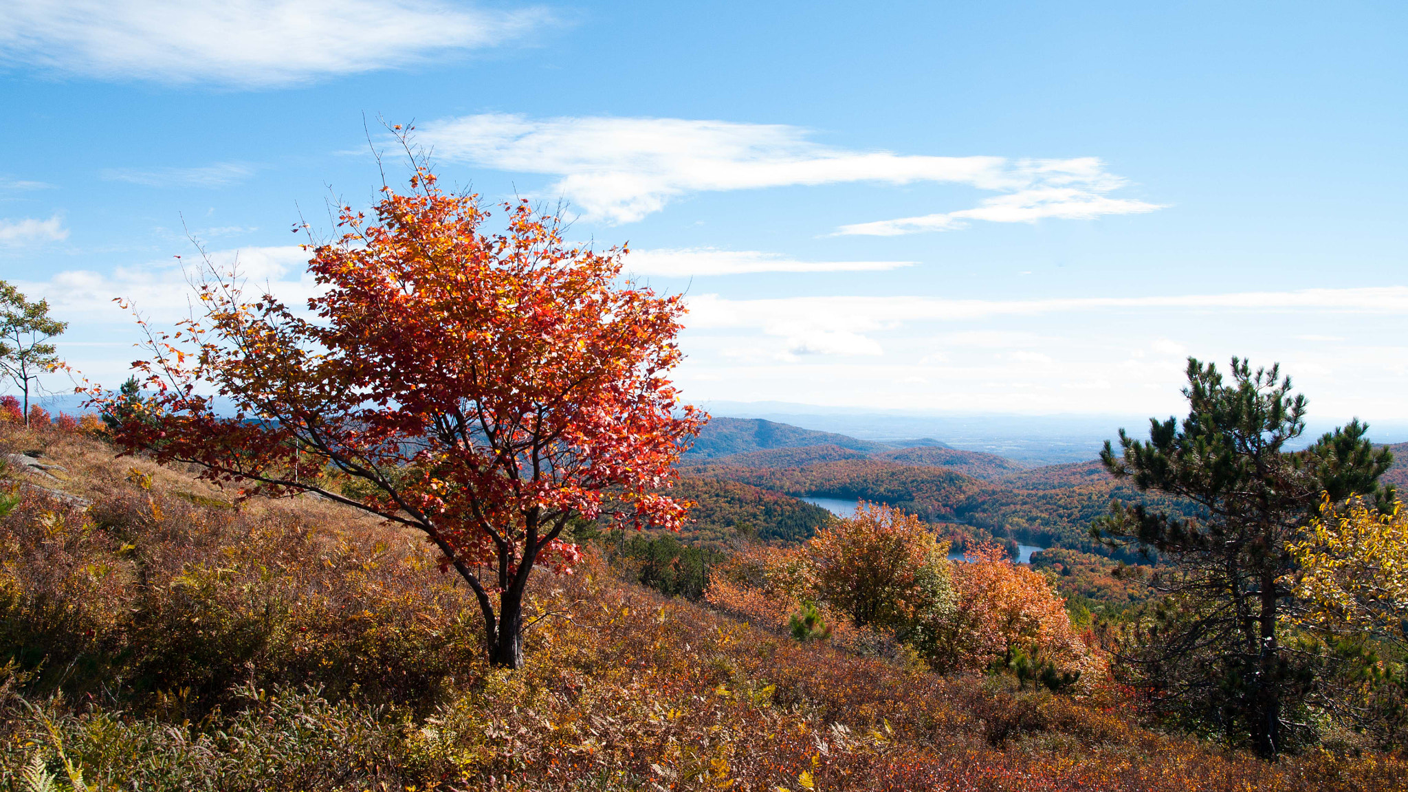 Sigma AF 10-20mm F4-5.6 EX DC sample photo. Buck mountain photography