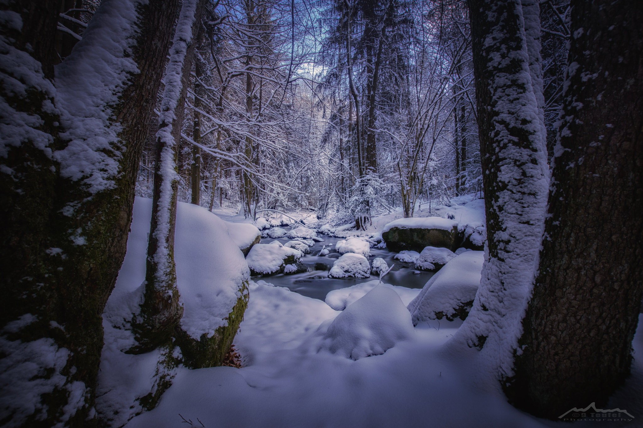 Sigma 10-20mm F3.5 EX DC HSM sample photo. "winterdreams" photography