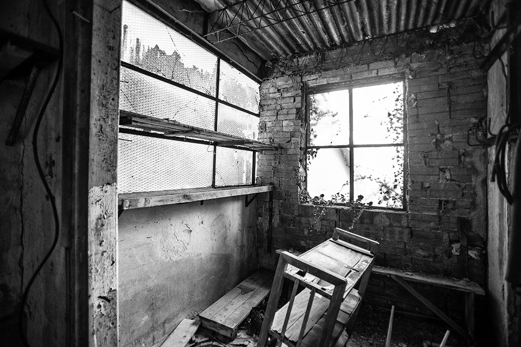 Canon EF 16-35mm F2.8L USM sample photo. Bell rock photography