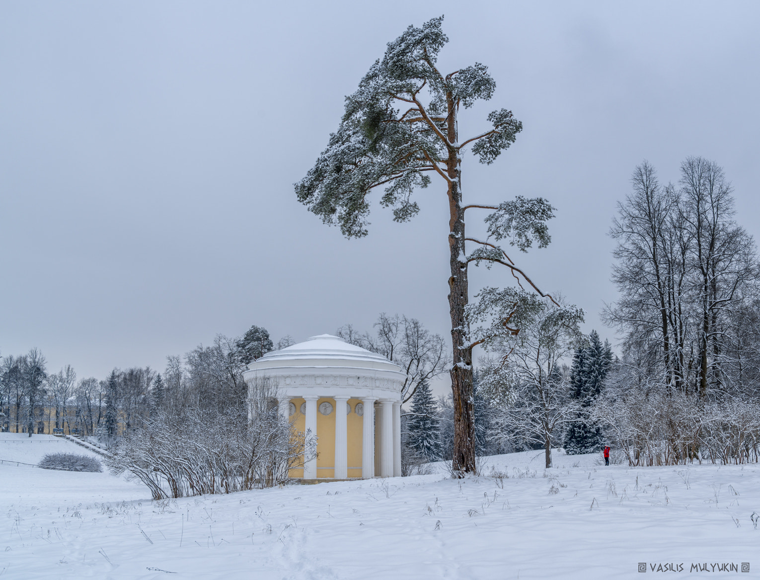 Sony a99 II + Minolta AF 28-70mm F2.8 G sample photo. В Павловском парке photography