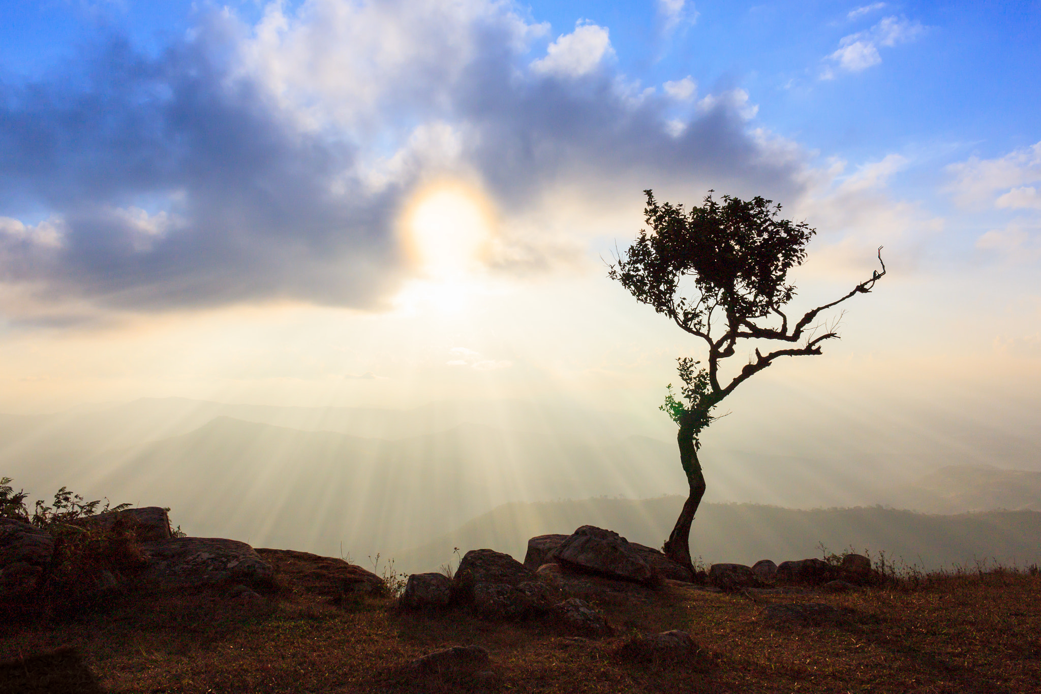 Canon EOS 500D (EOS Rebel T1i / EOS Kiss X3) sample photo. Tree on peak mountain and light of rays with beautiful sky photography
